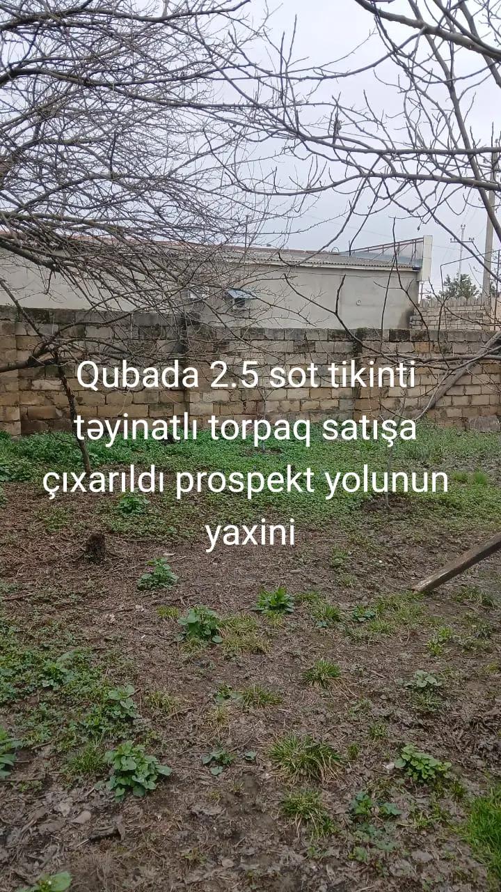 @Feran Mehtiyev