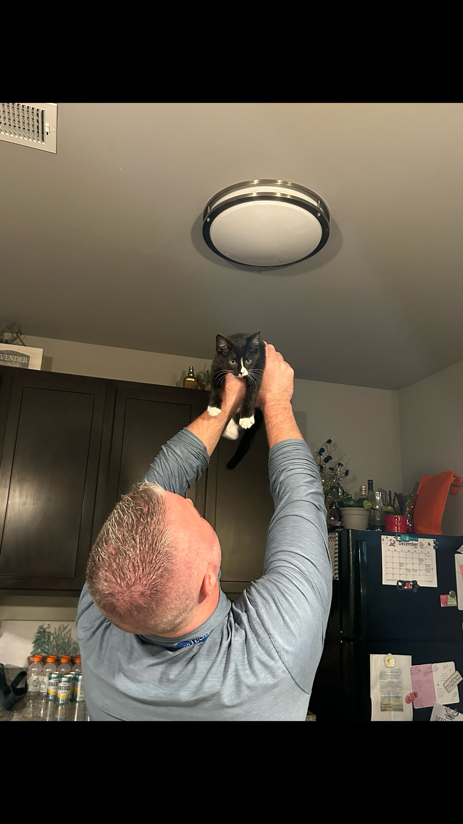@Lindsay