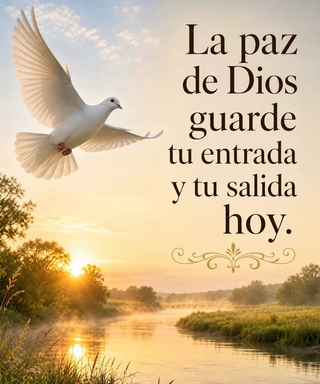 @hola, hola