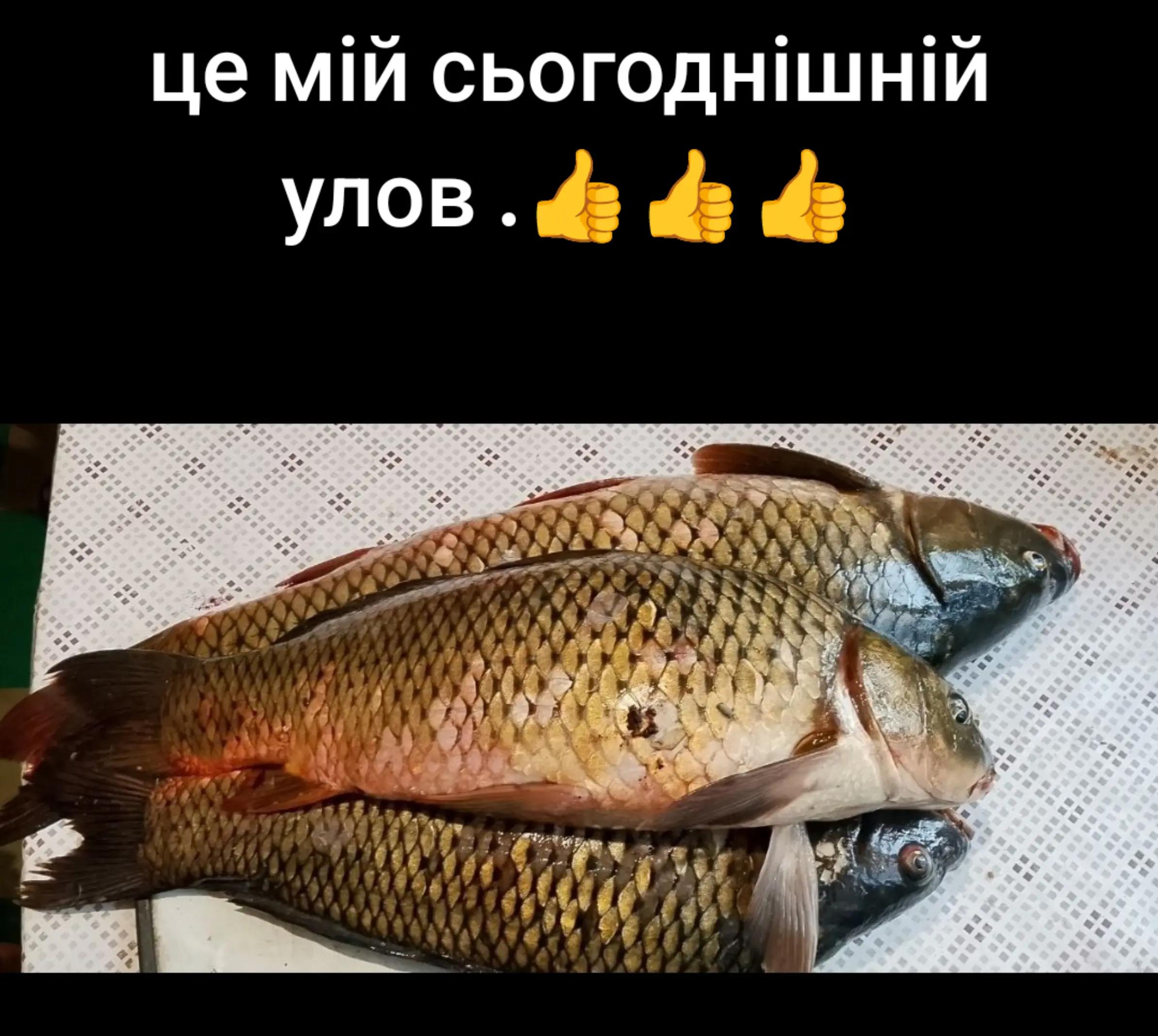 @заноза