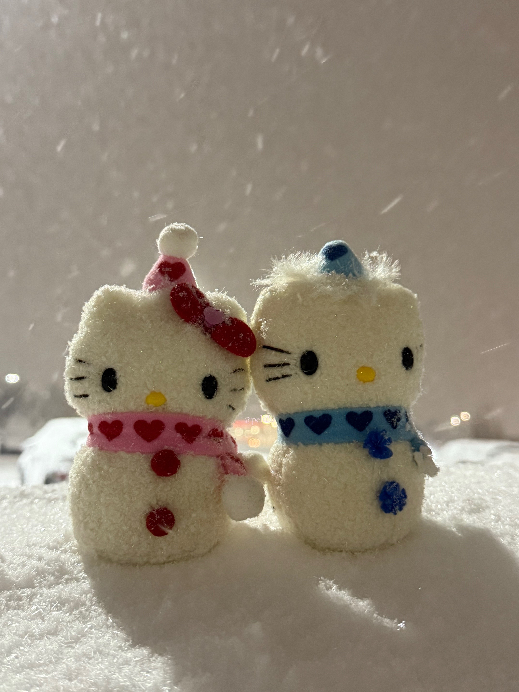 @Pelulu💗