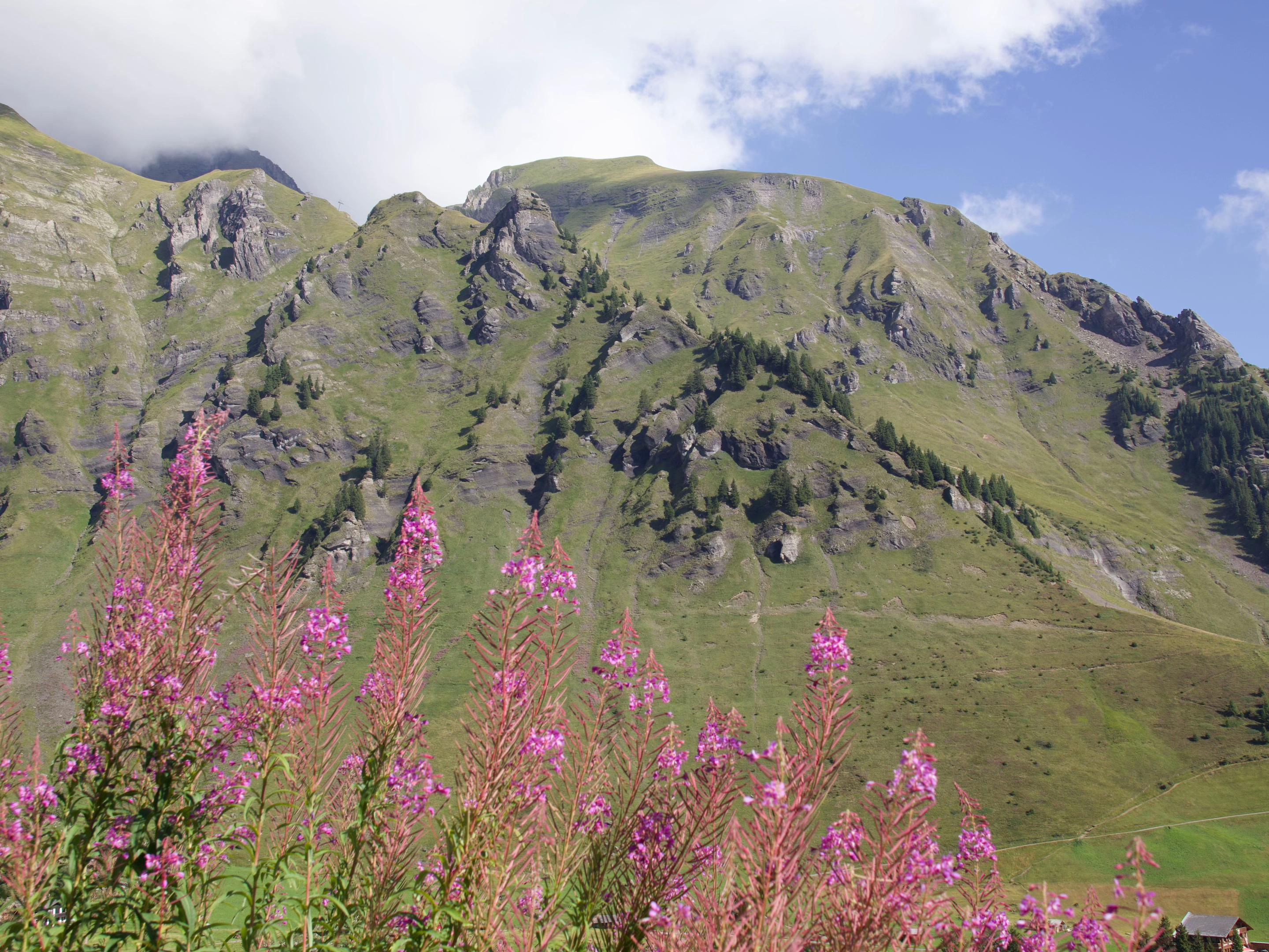 @swisskyline