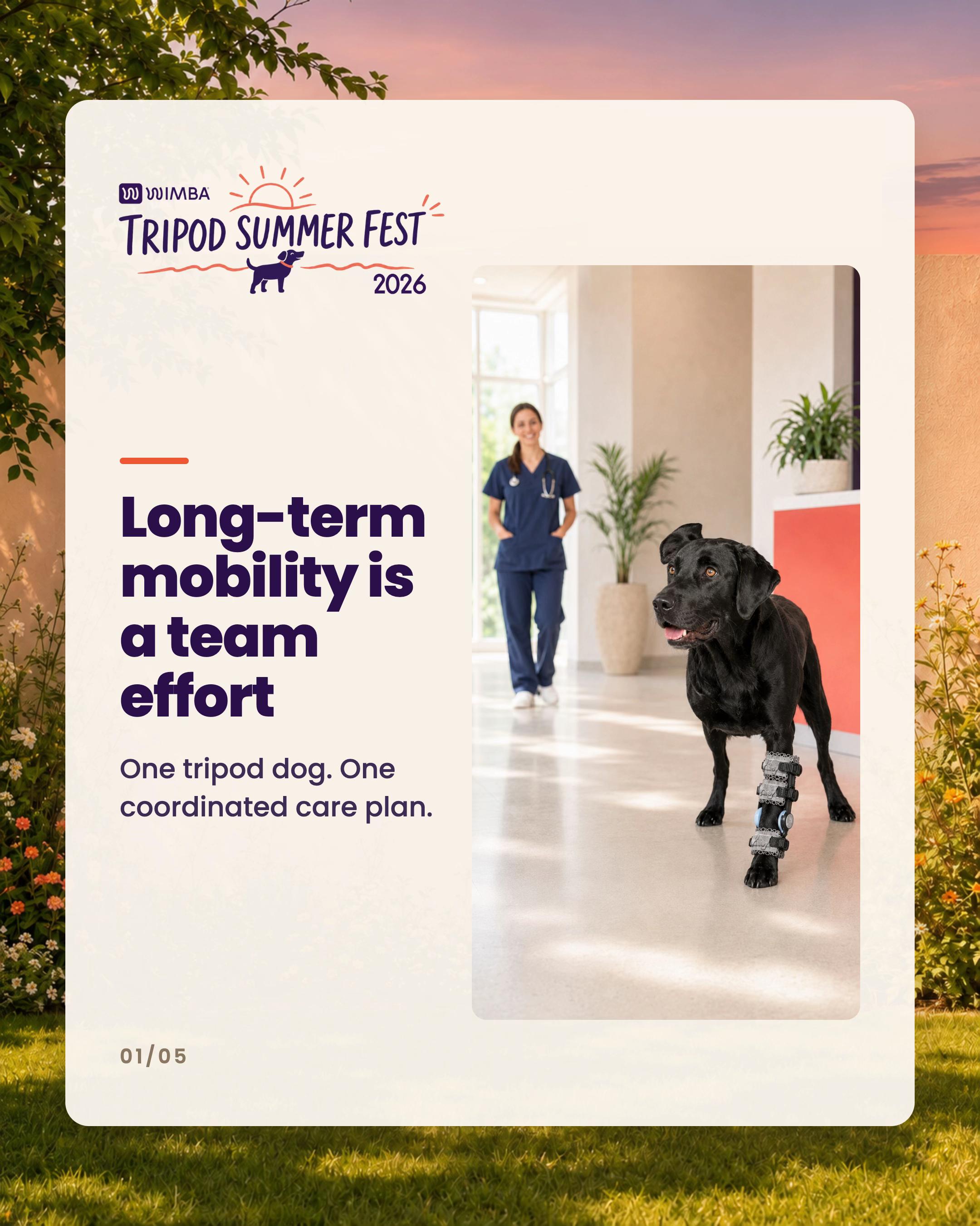 @WIMBA: Pet Orthoses