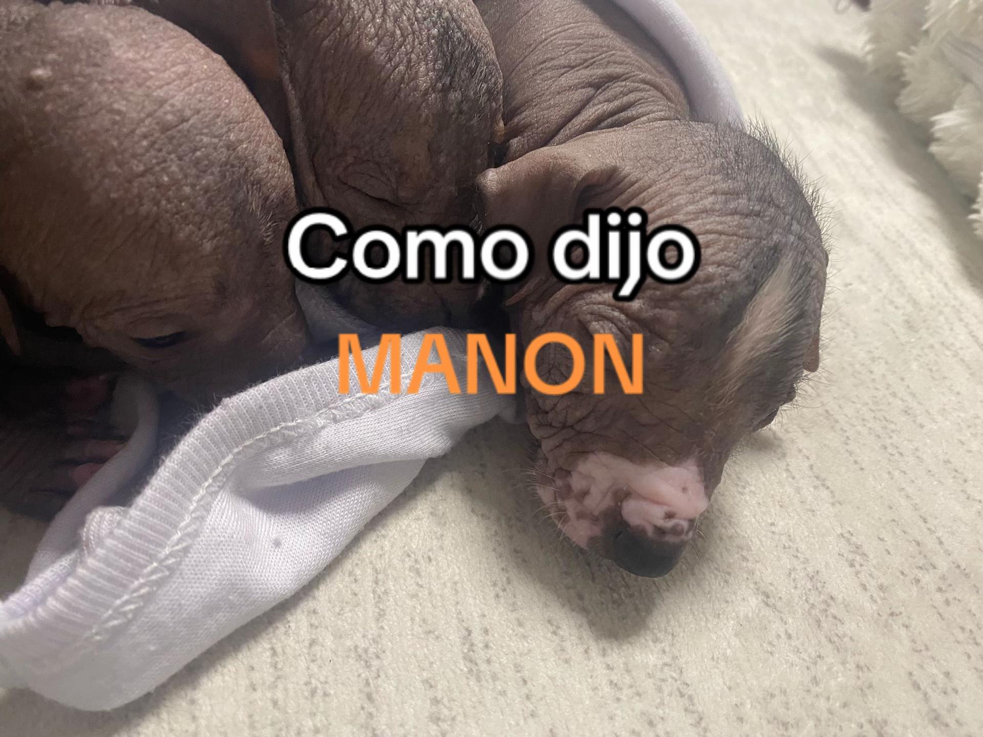 @🐹🐰🦝💜.(:MOMO.(:🐹🐰🦝❤️
