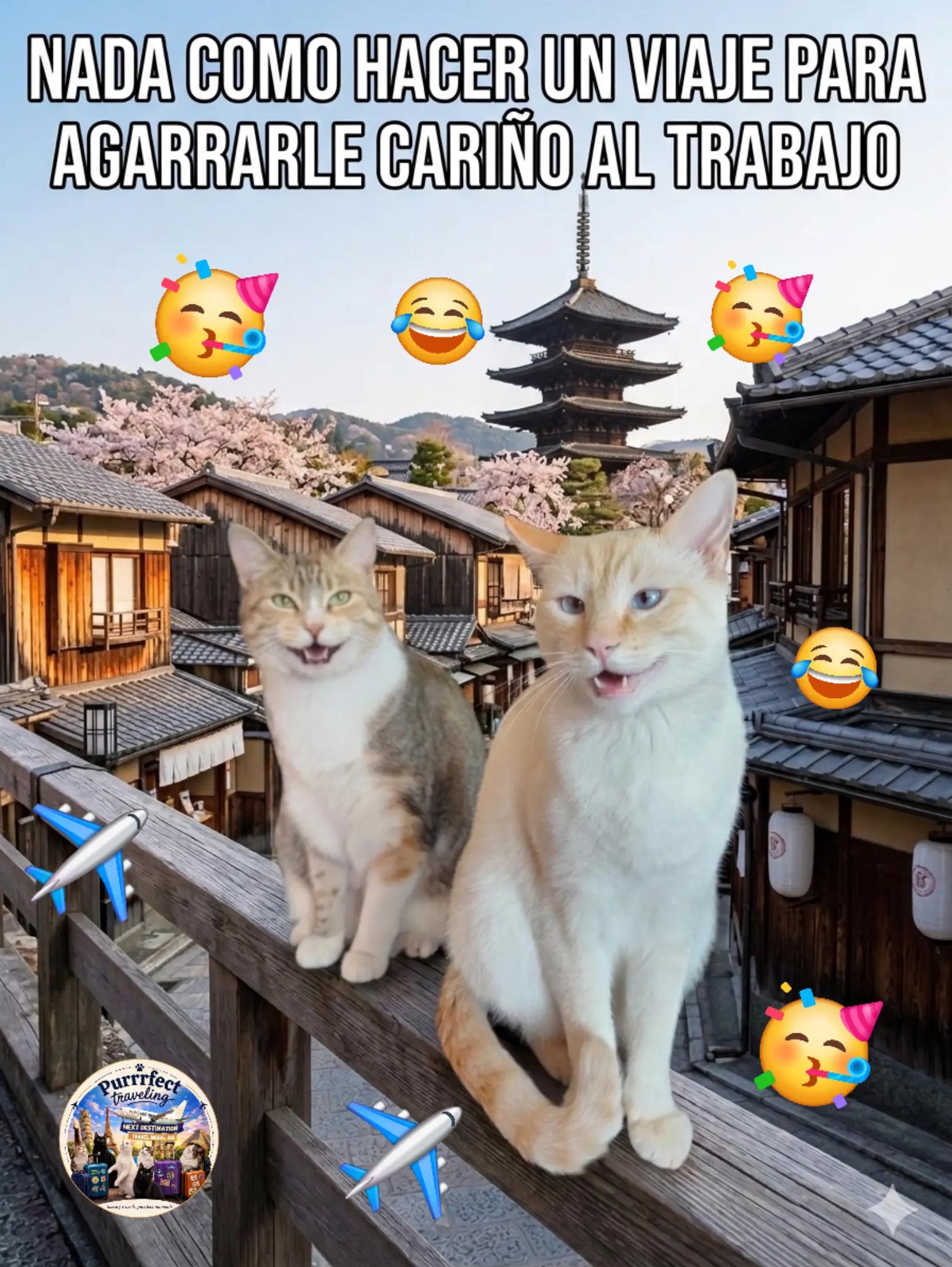 @Purrrfect Traveling