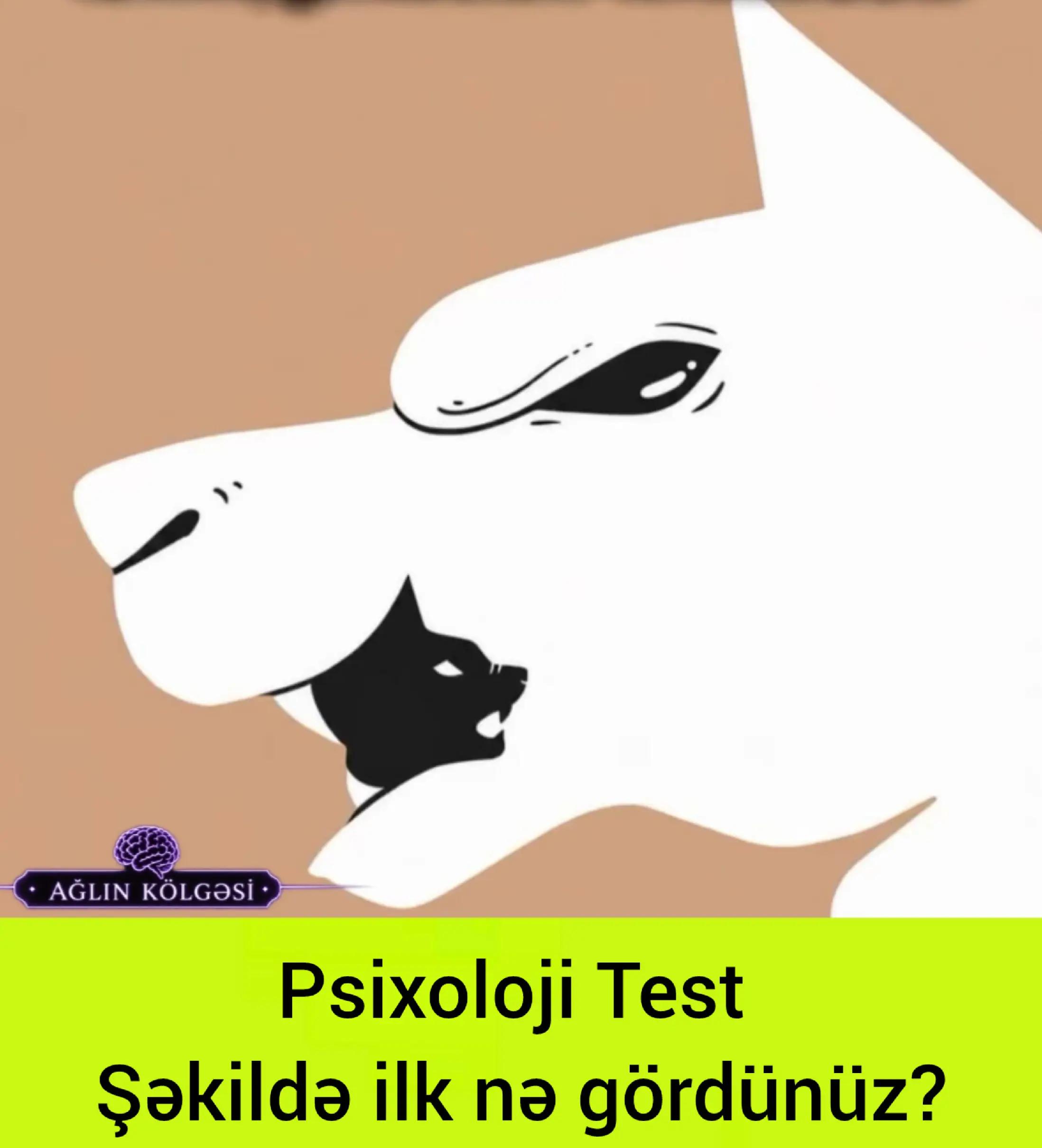 @Ağlın K&ouml;lgəsi