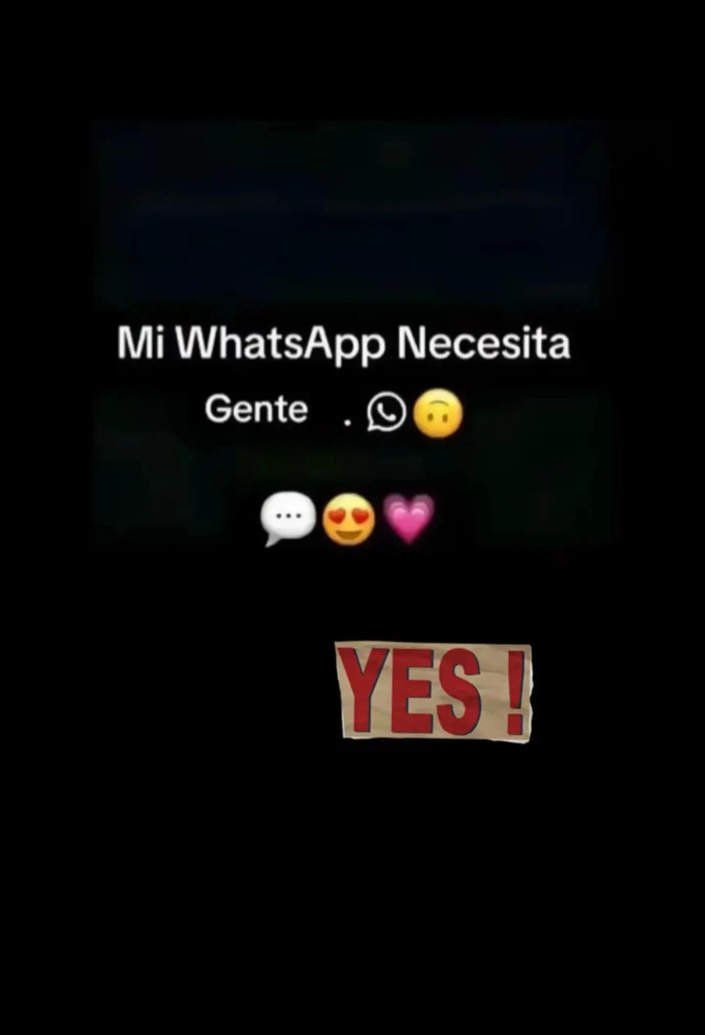 @🦅LUZZ<3❤️🔥 OFICIAL 🦅