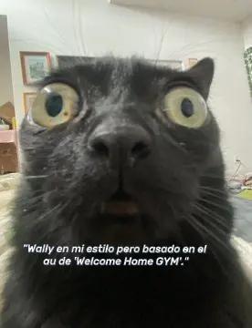 @🎧🎶✨️ ElCaTPana✨️🎶🤙