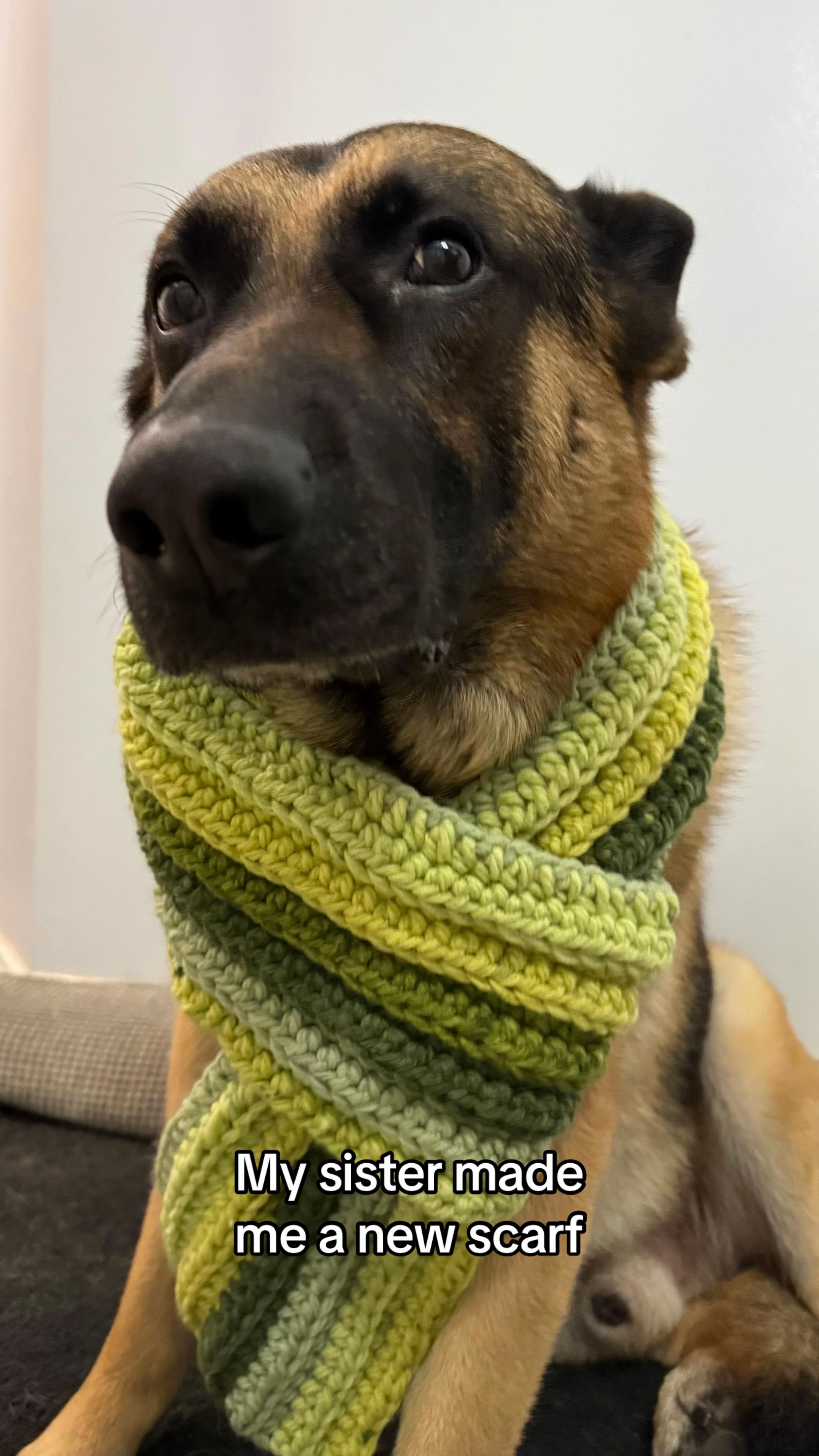 @Martygsd