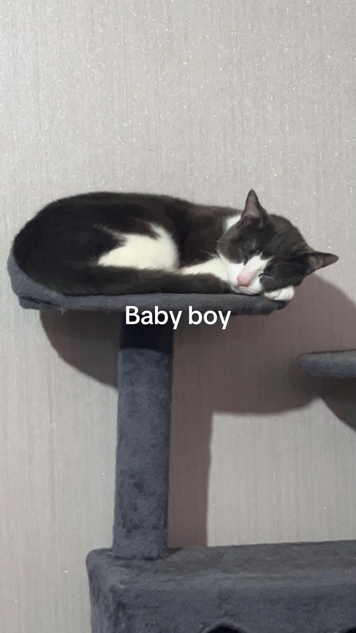@Mitch (NotChief)