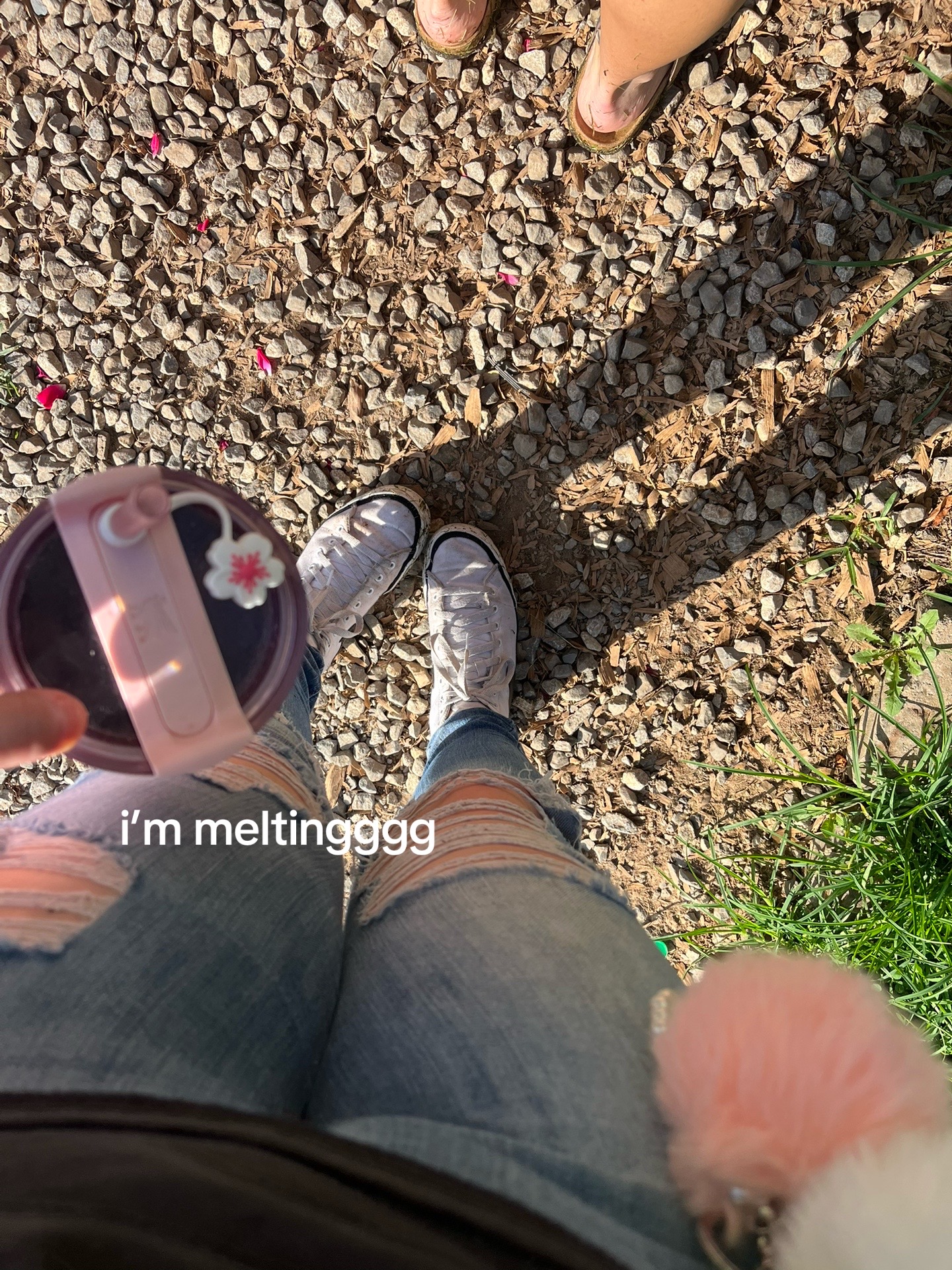 @𝓫𝓻𝓸𝓸𝓴𝓮🌊💕