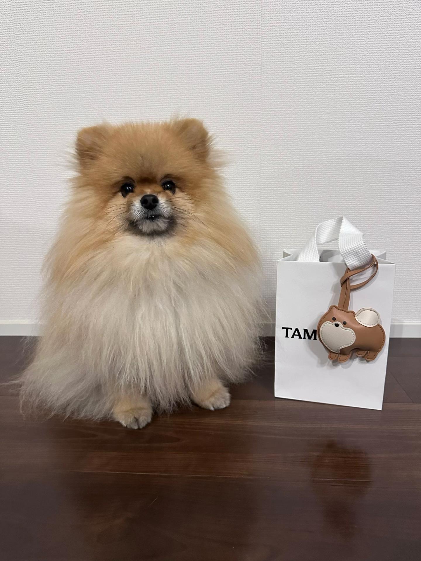 @チャック🐶