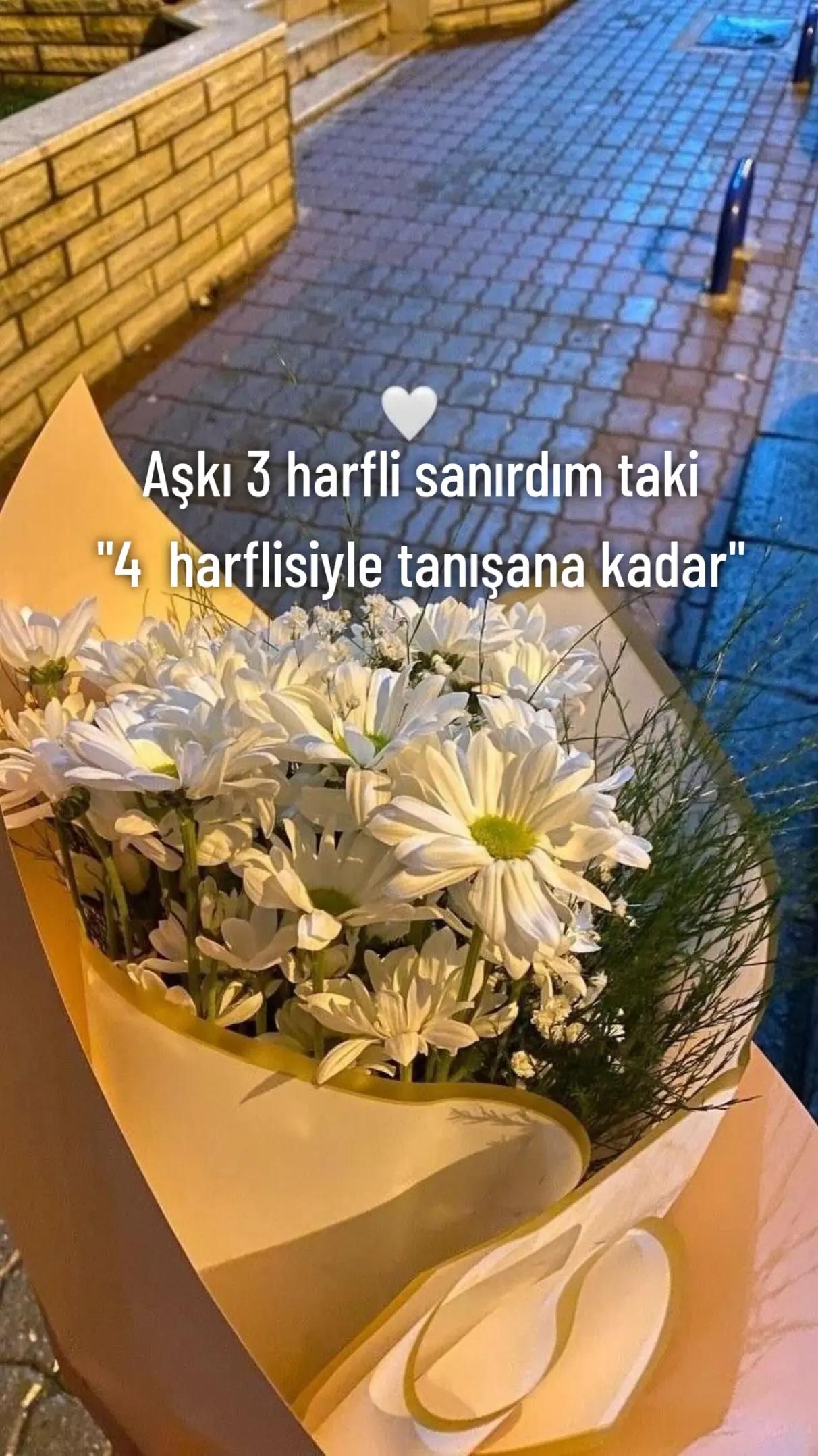@wq.lana.