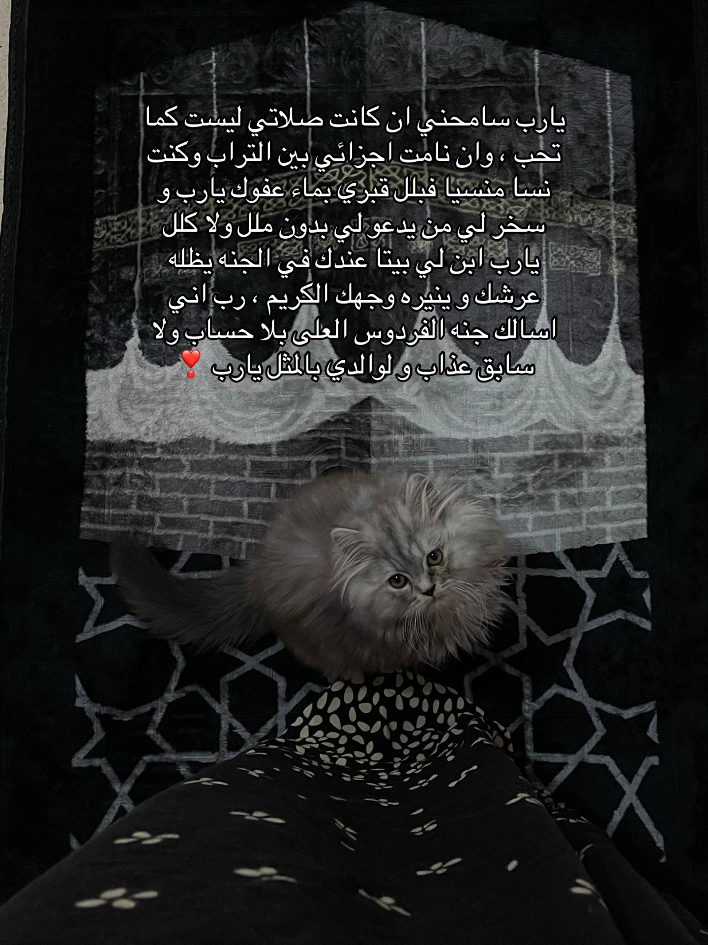 @إكرام ❤️