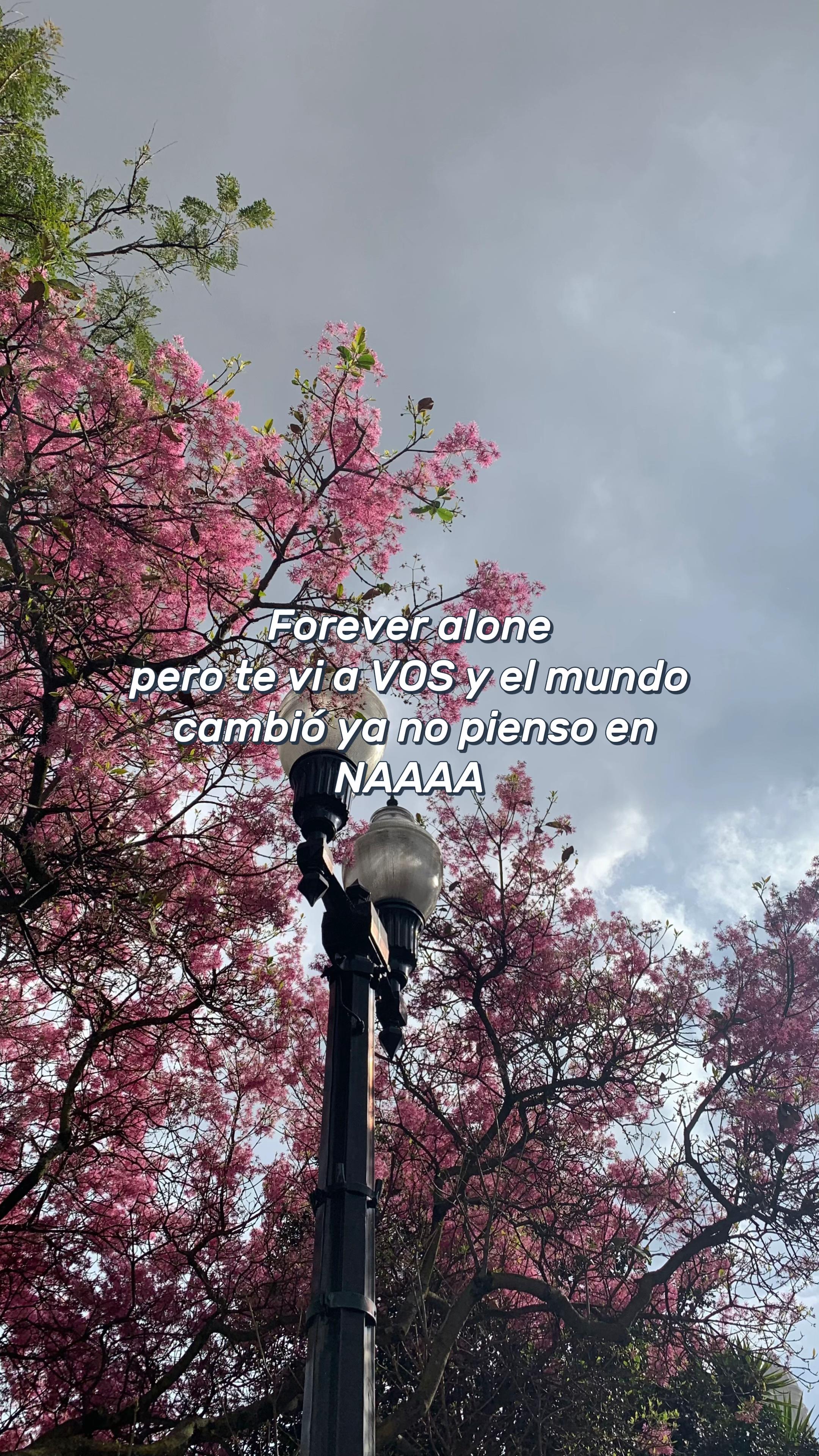 @Teo