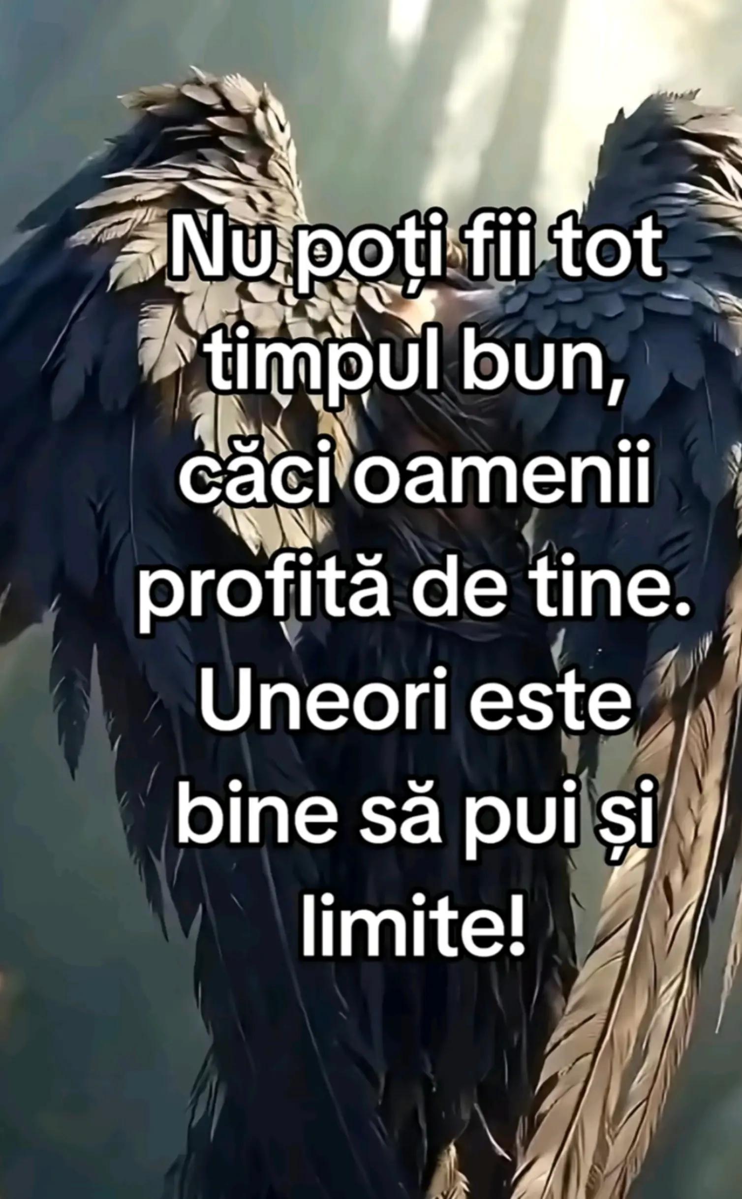 @lena