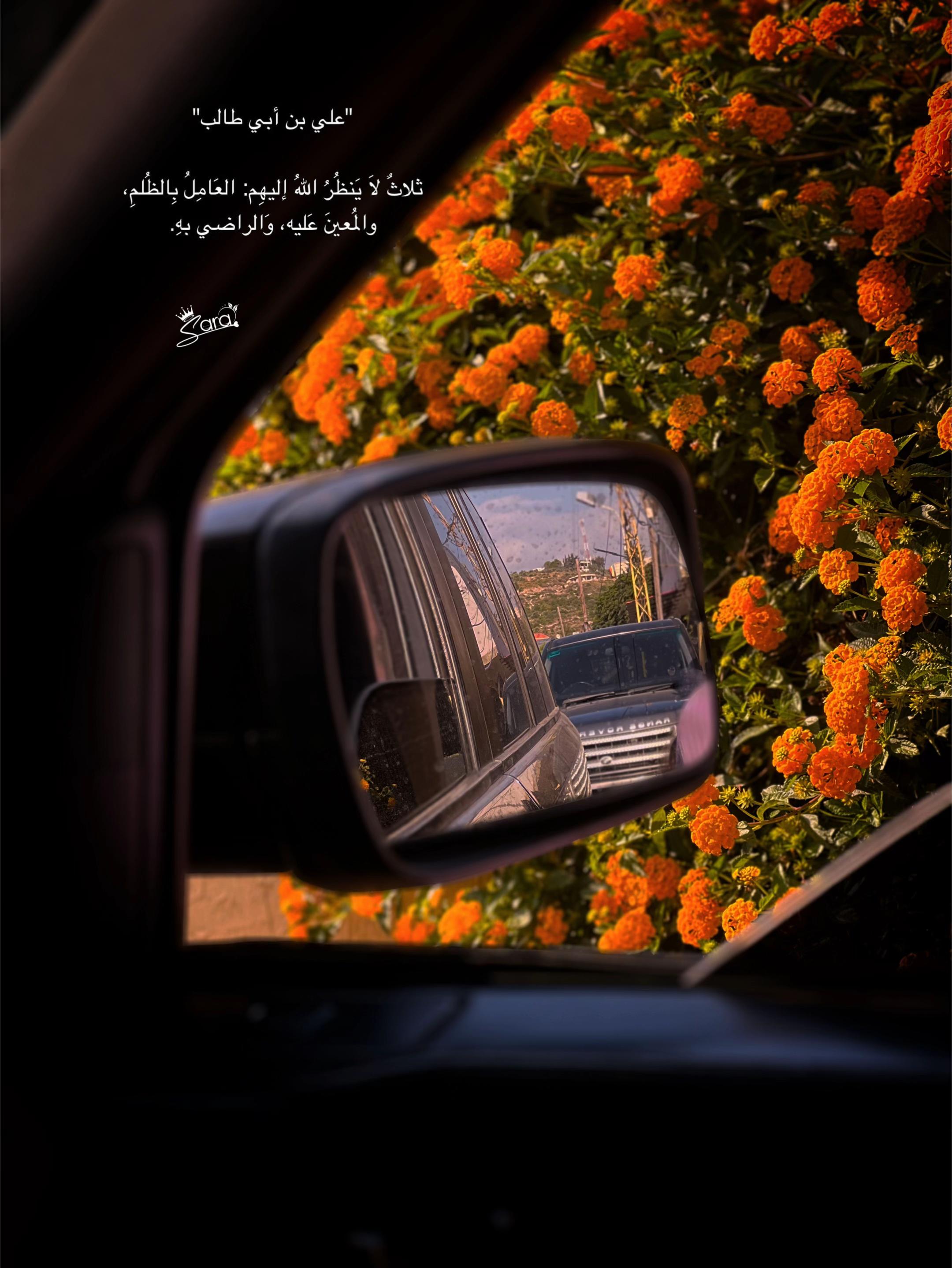 @༊෴✿سہارة✿〄