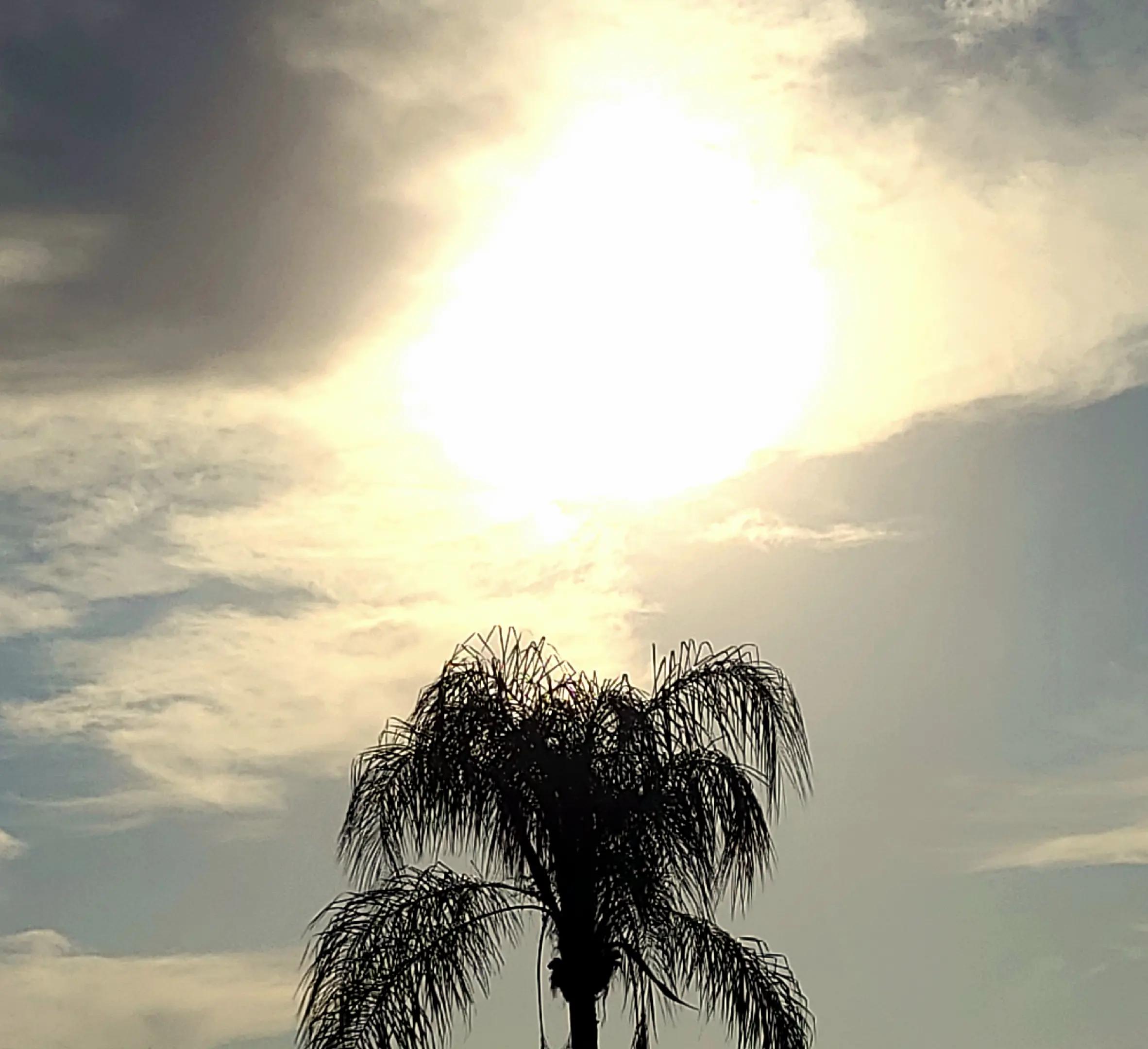 @FloridaLiving