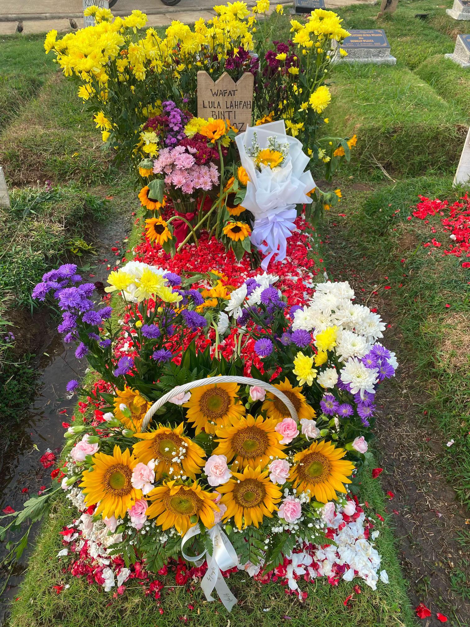 @awaanyalulipopp🌻🤍