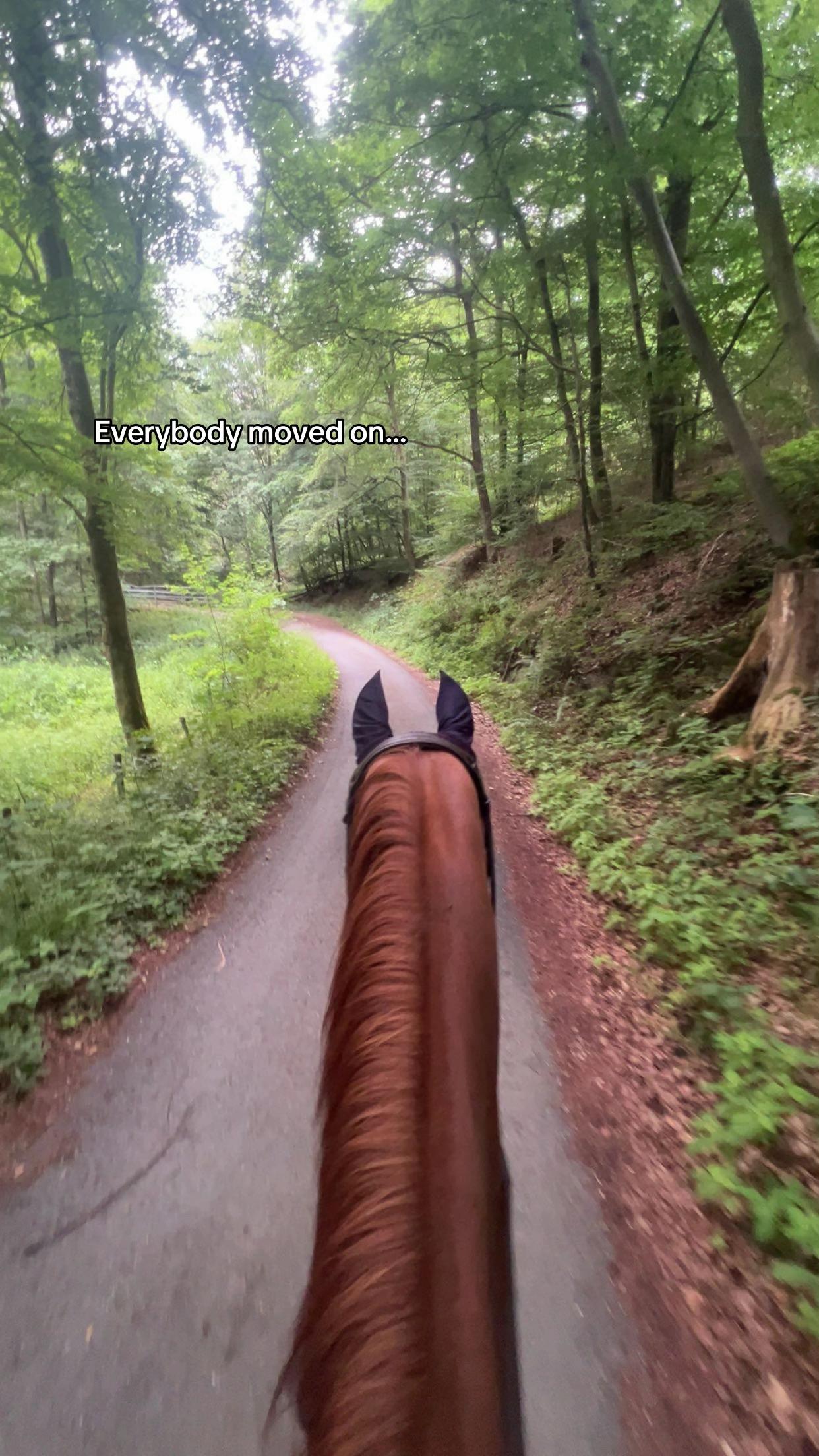 @annalisa.equestrian