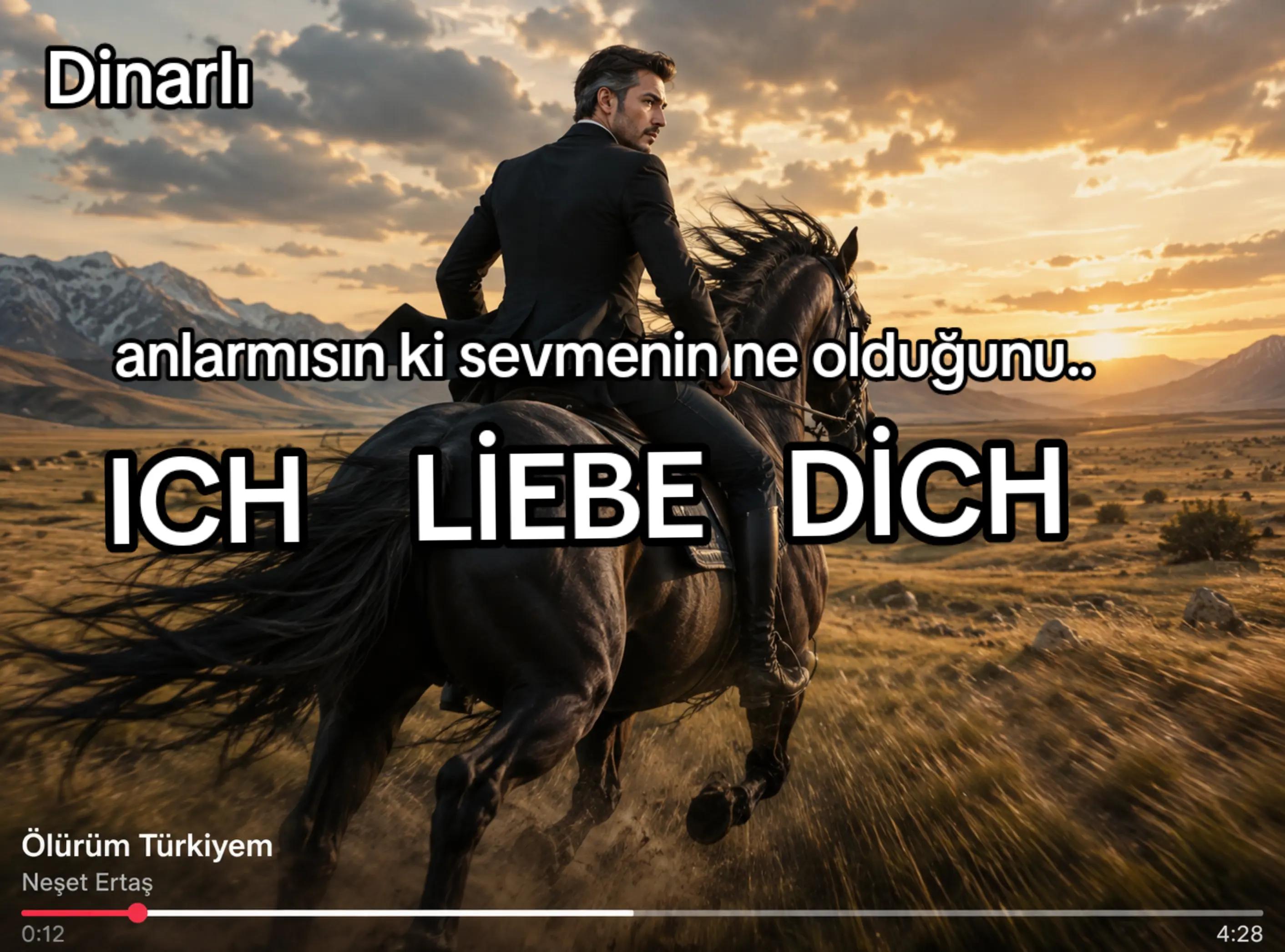 @BİR~BAKIŞTIR~DİNARLI