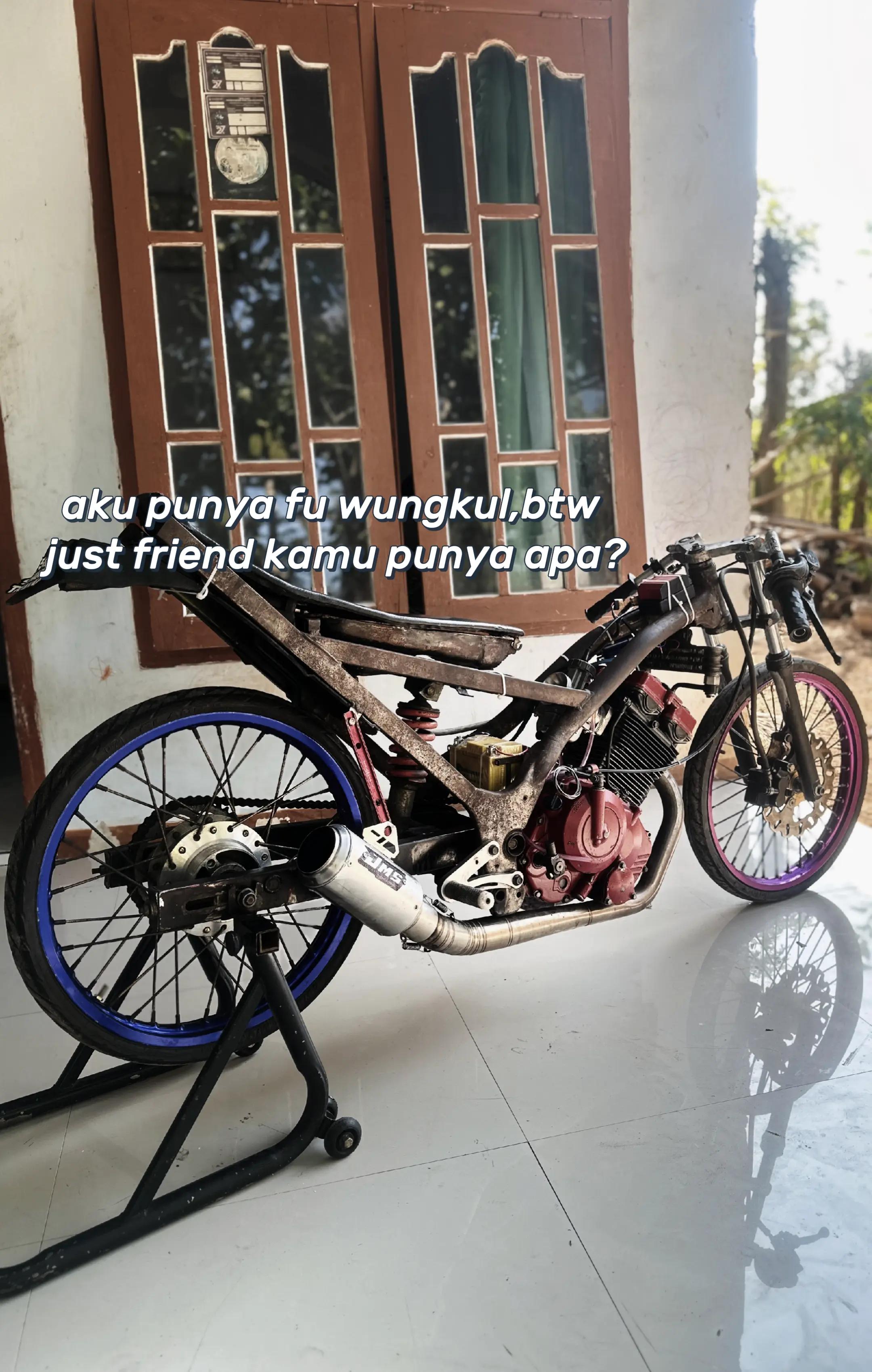 @dandi