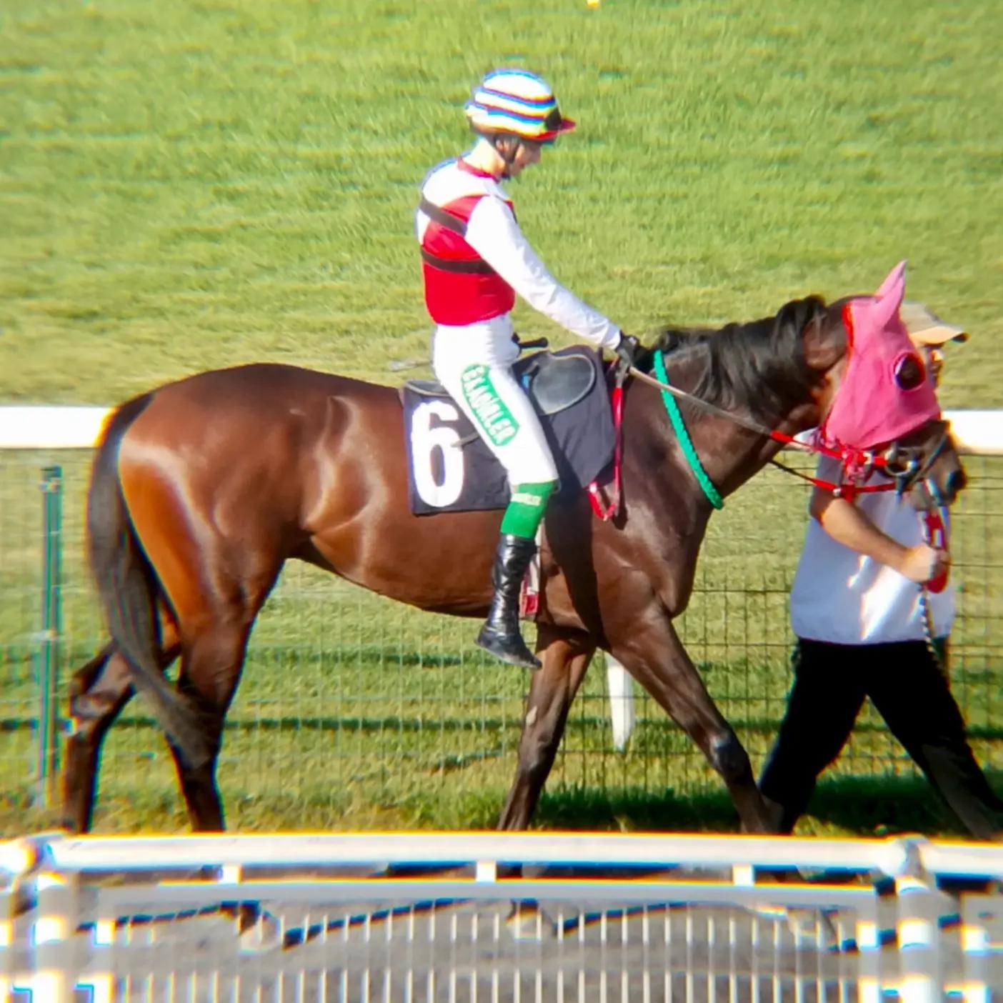 @brs horse racing