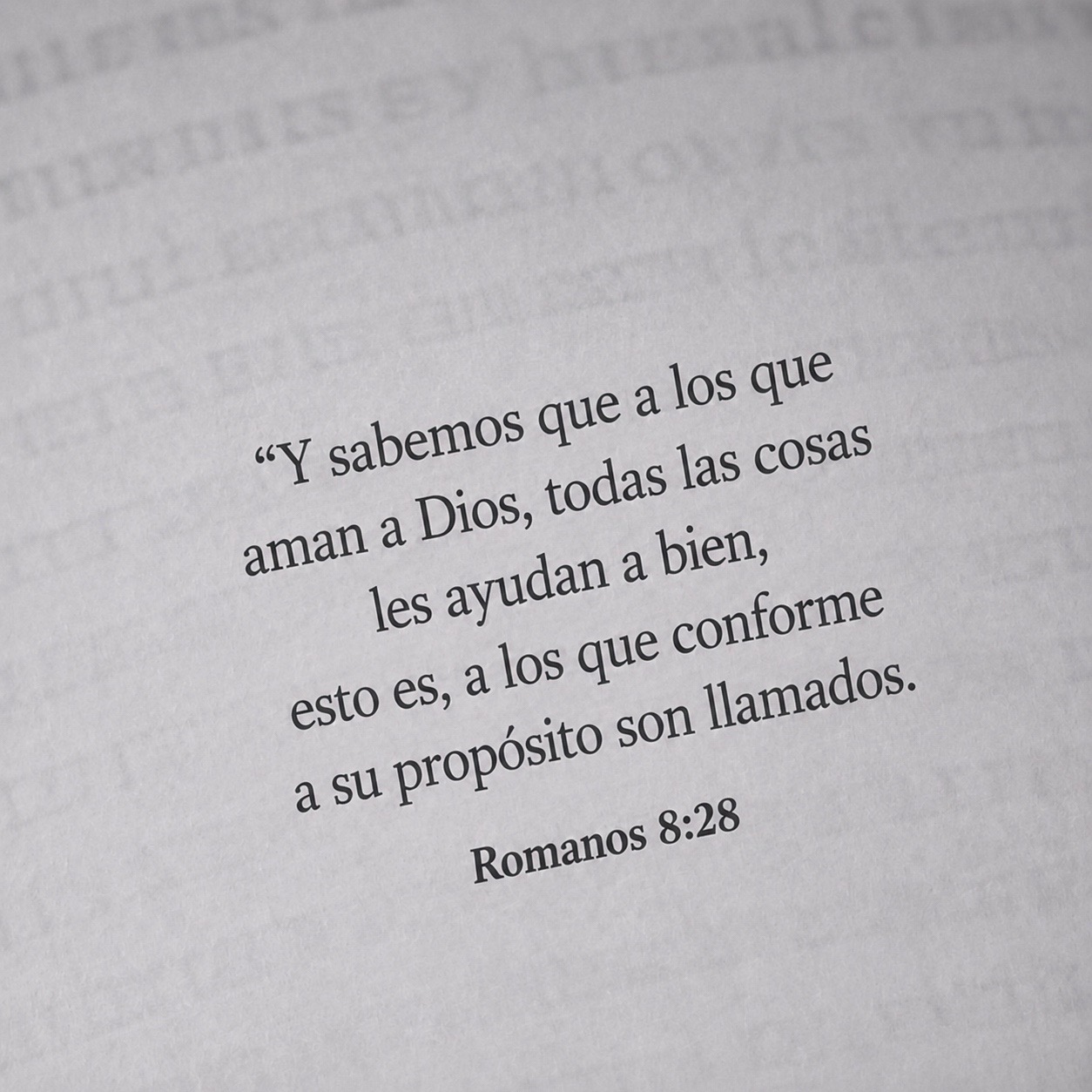 @Cesar Dario