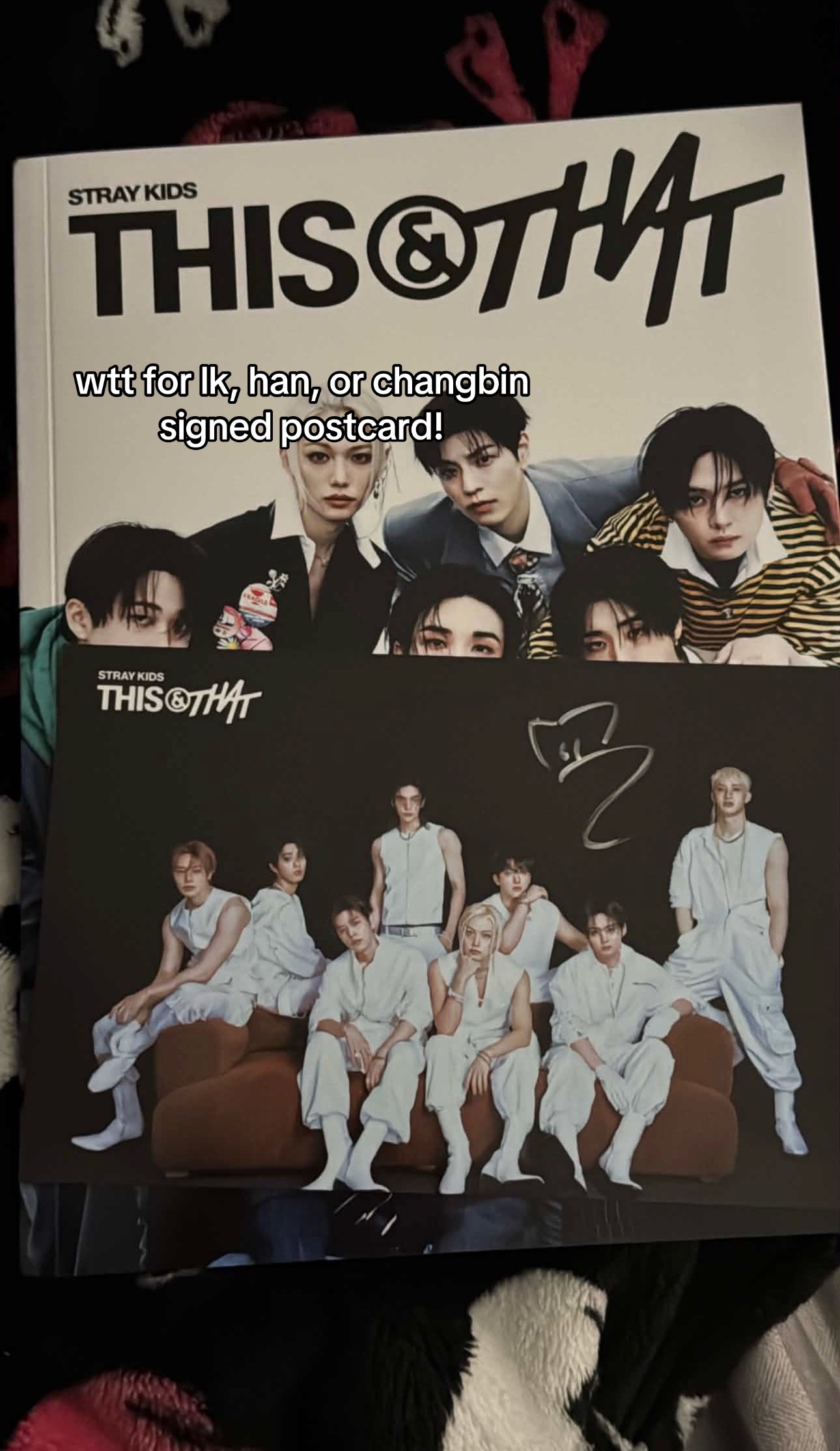 @ᥫ᭡ ˖ ࣪ gg | this & that !