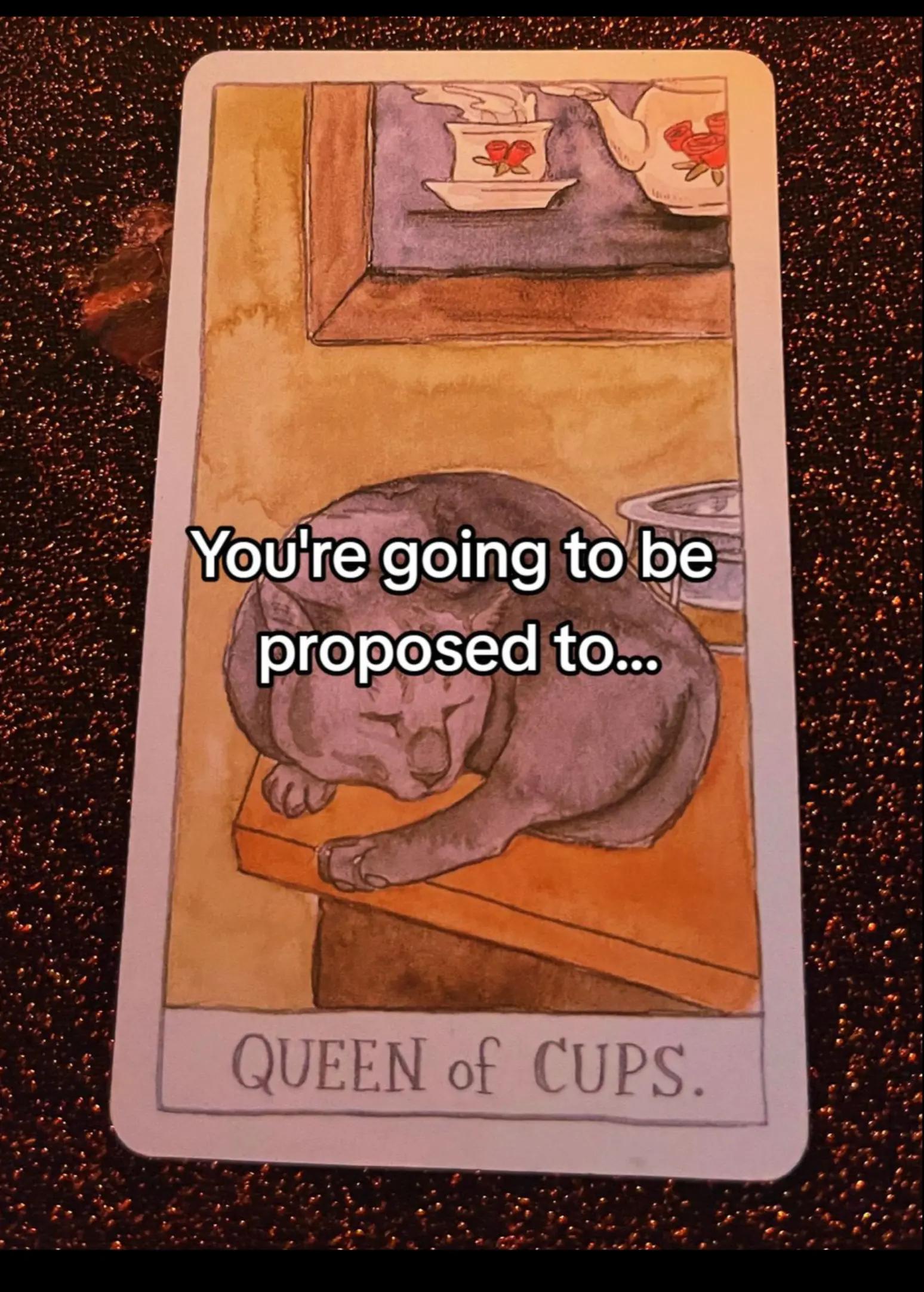 @ROSA🔮