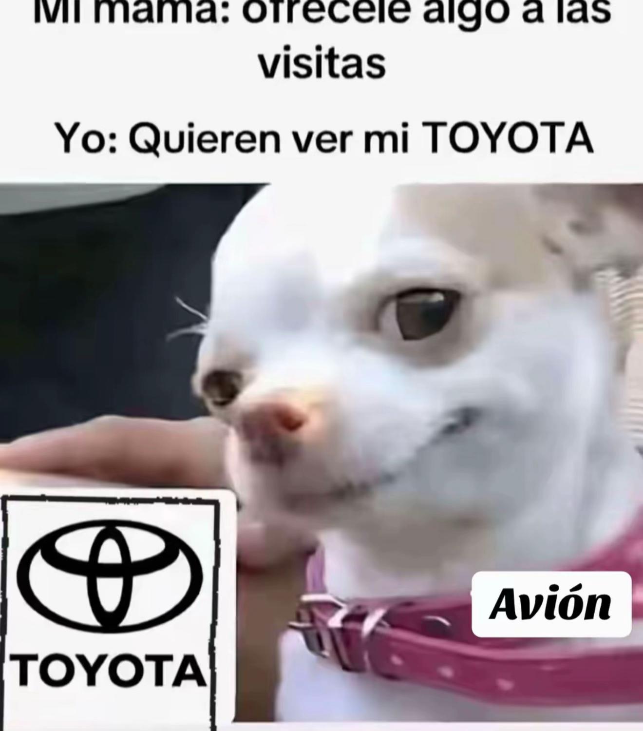 @el de la gris