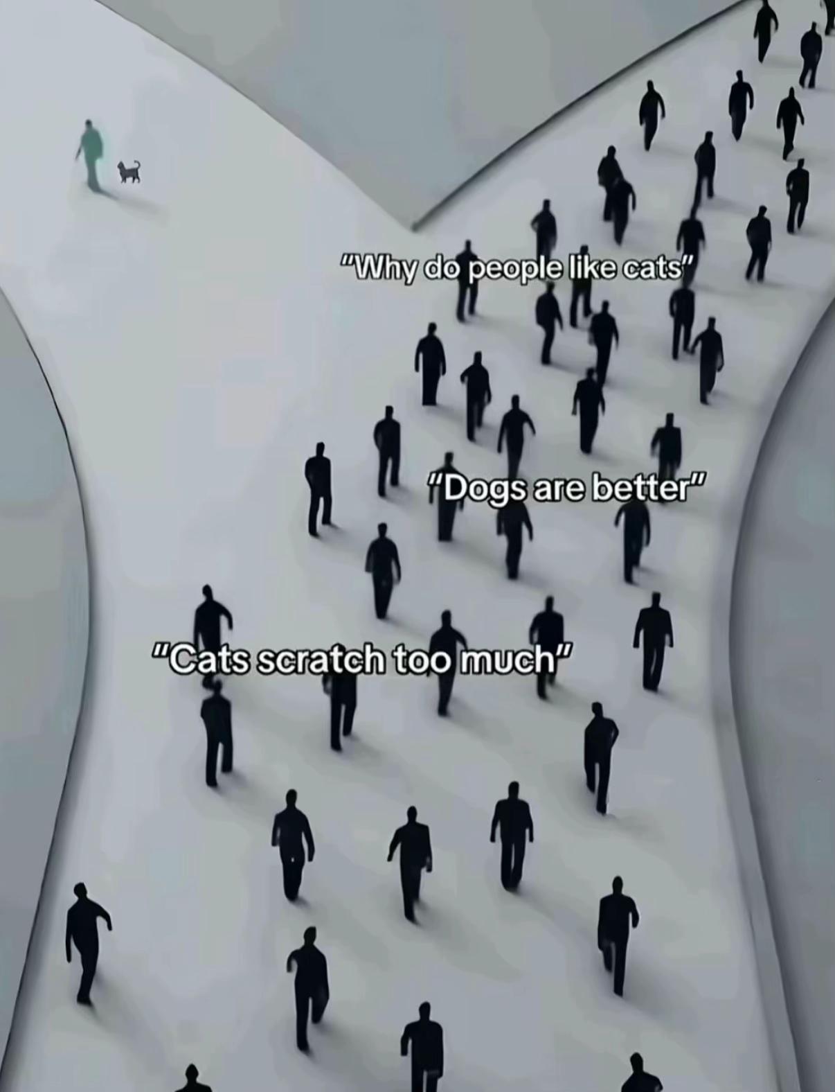 @𝓣𝓼𝓲𝓰𝓪𝓻𝓪.𝓜