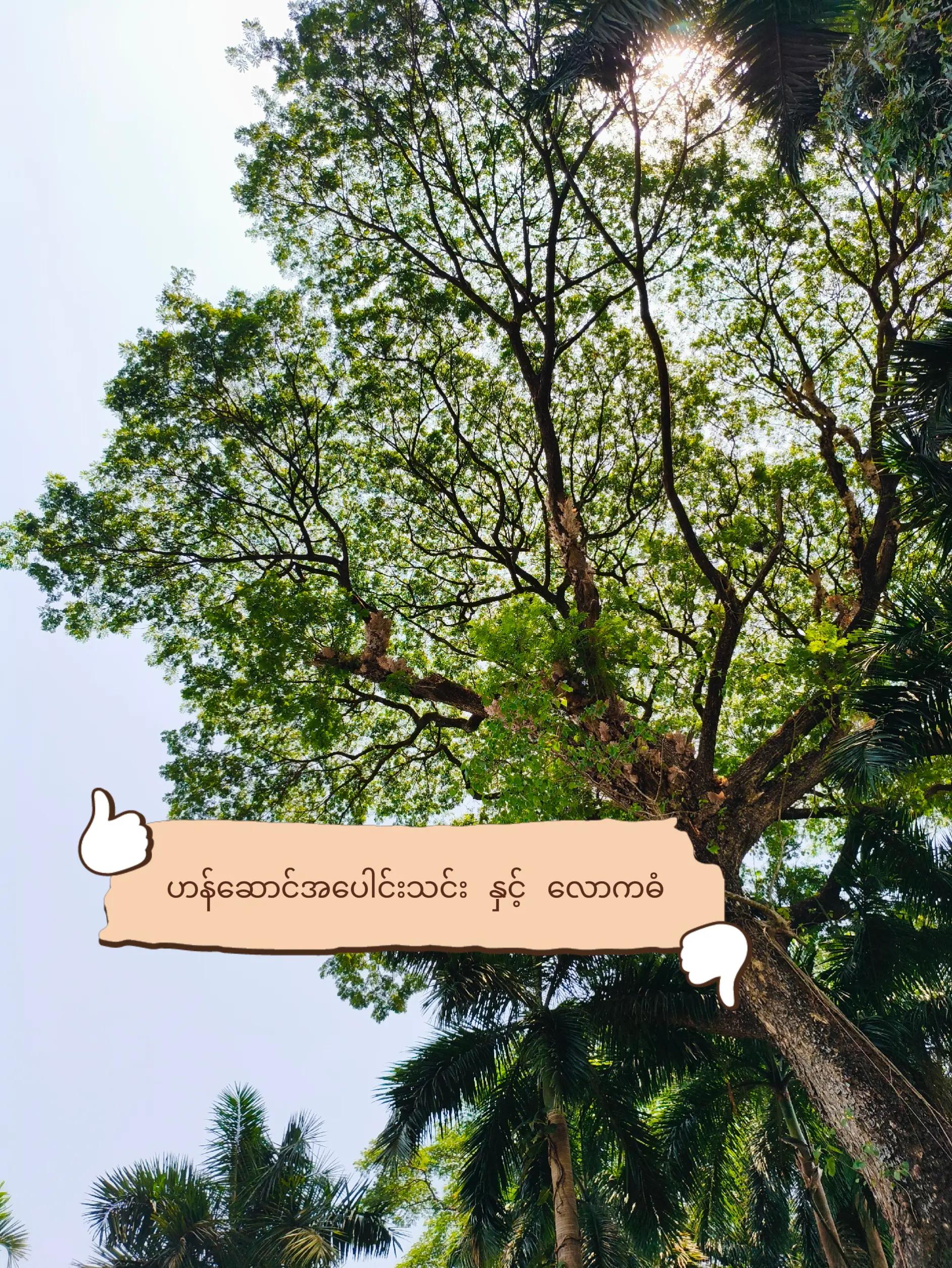 @DJ Lucks Official đˇ