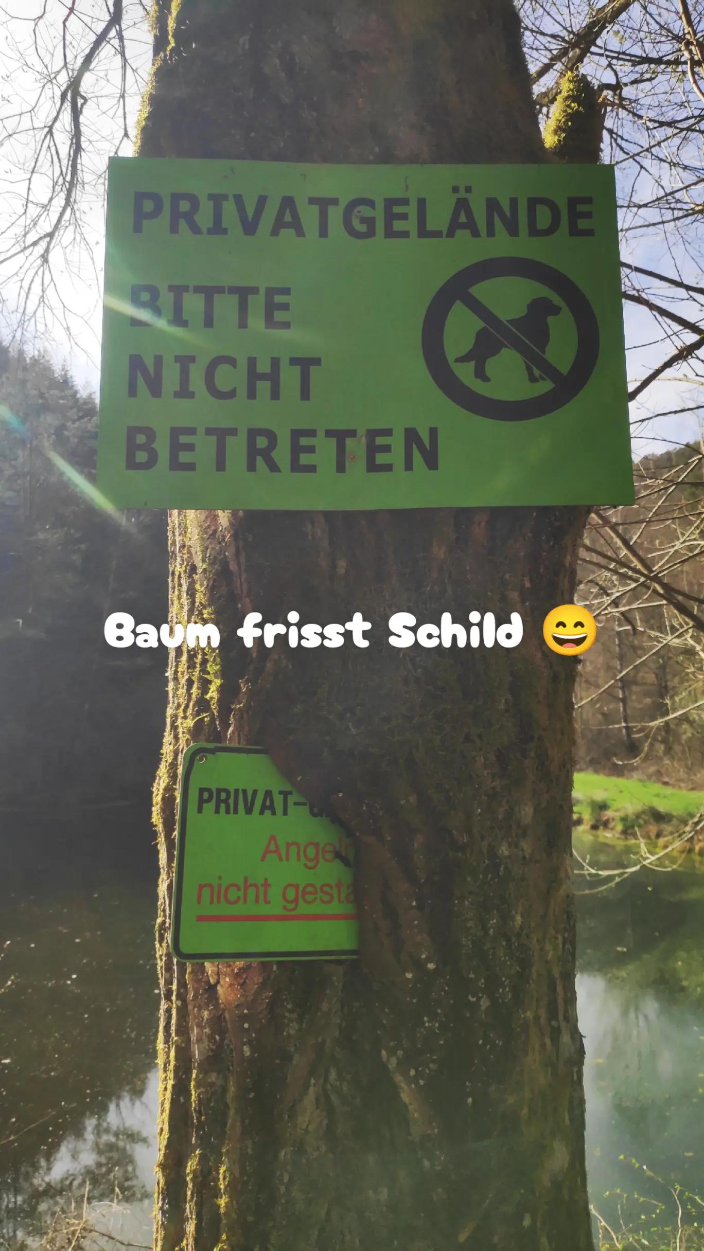 @ICH BIN'S