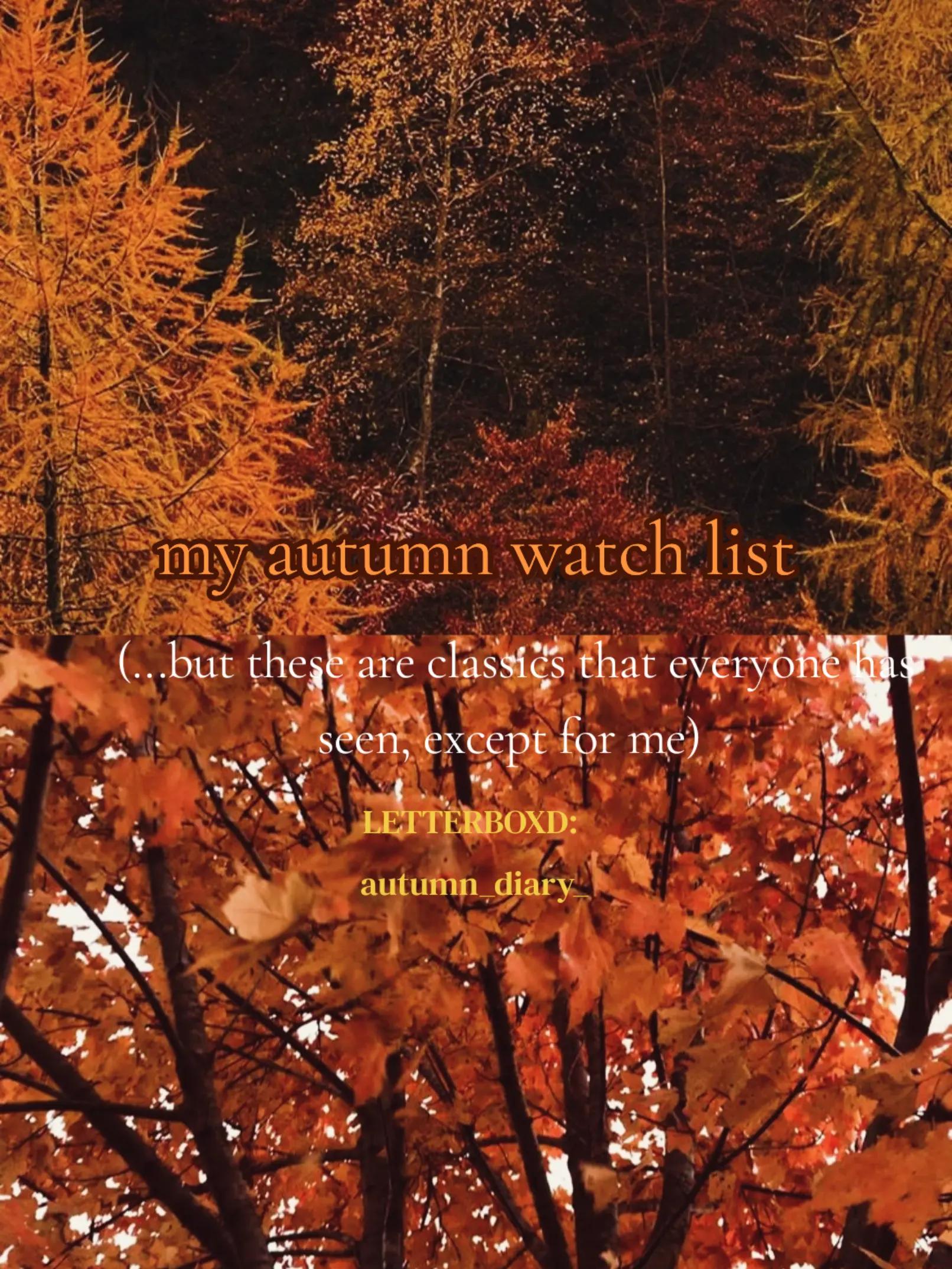 @⋆˚꩜｡fall_diary⋆˚꩜
