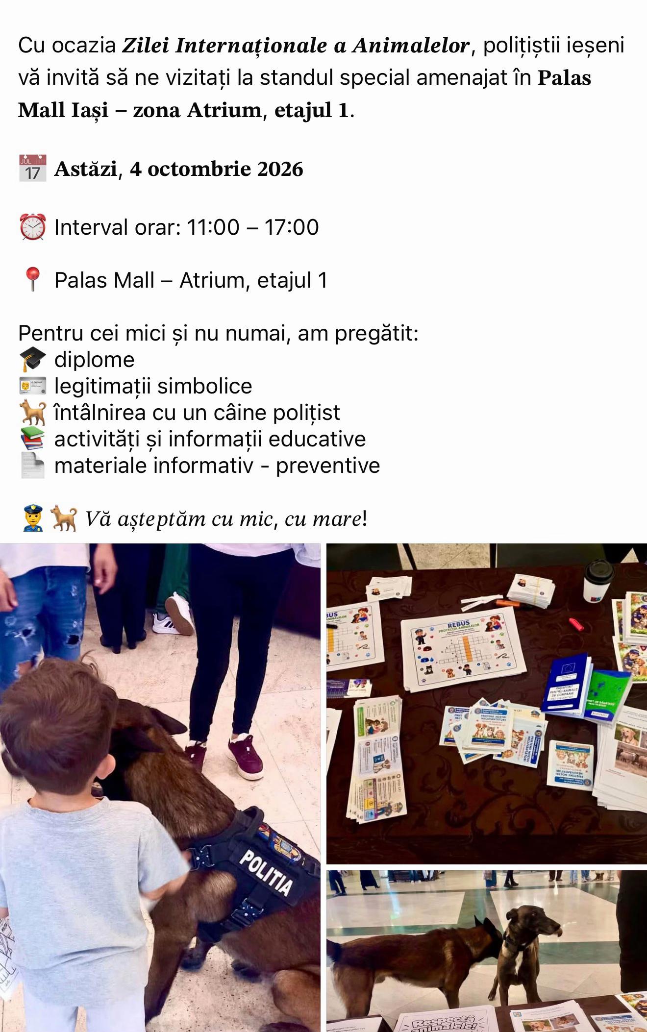 @Ştiri Cu Surse