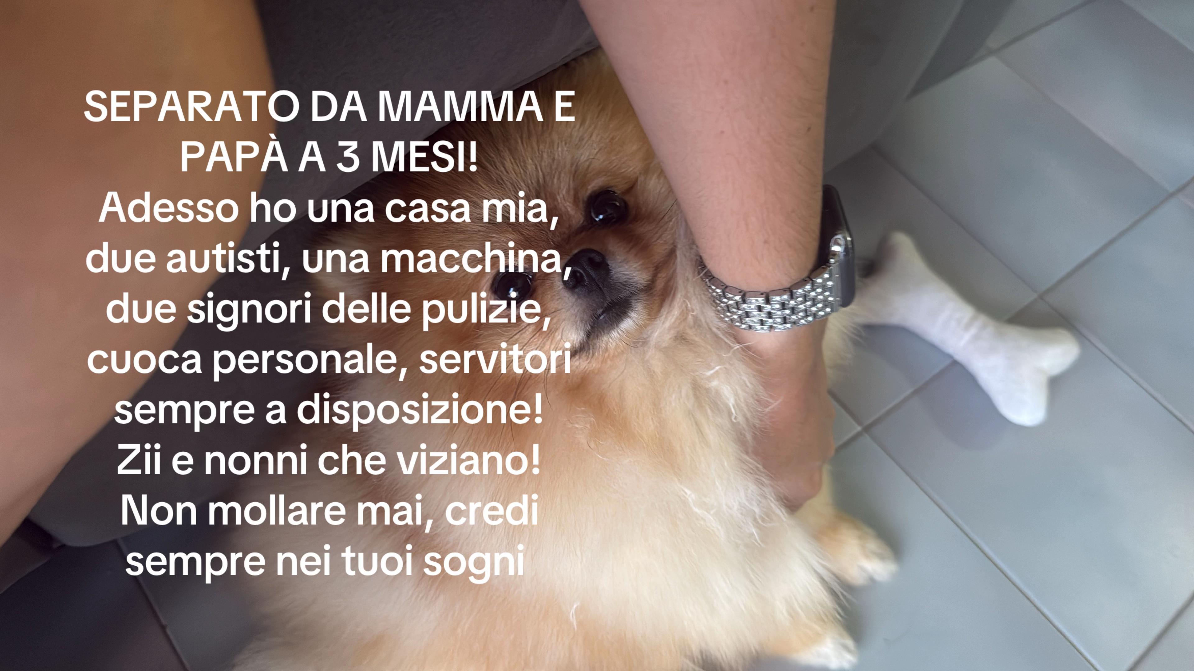 @Sabrina Lo Piccolo
