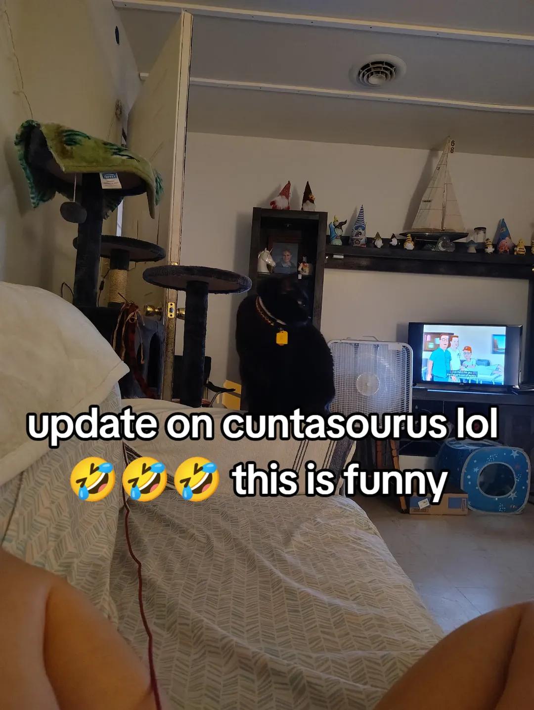 @TheFeralRashy