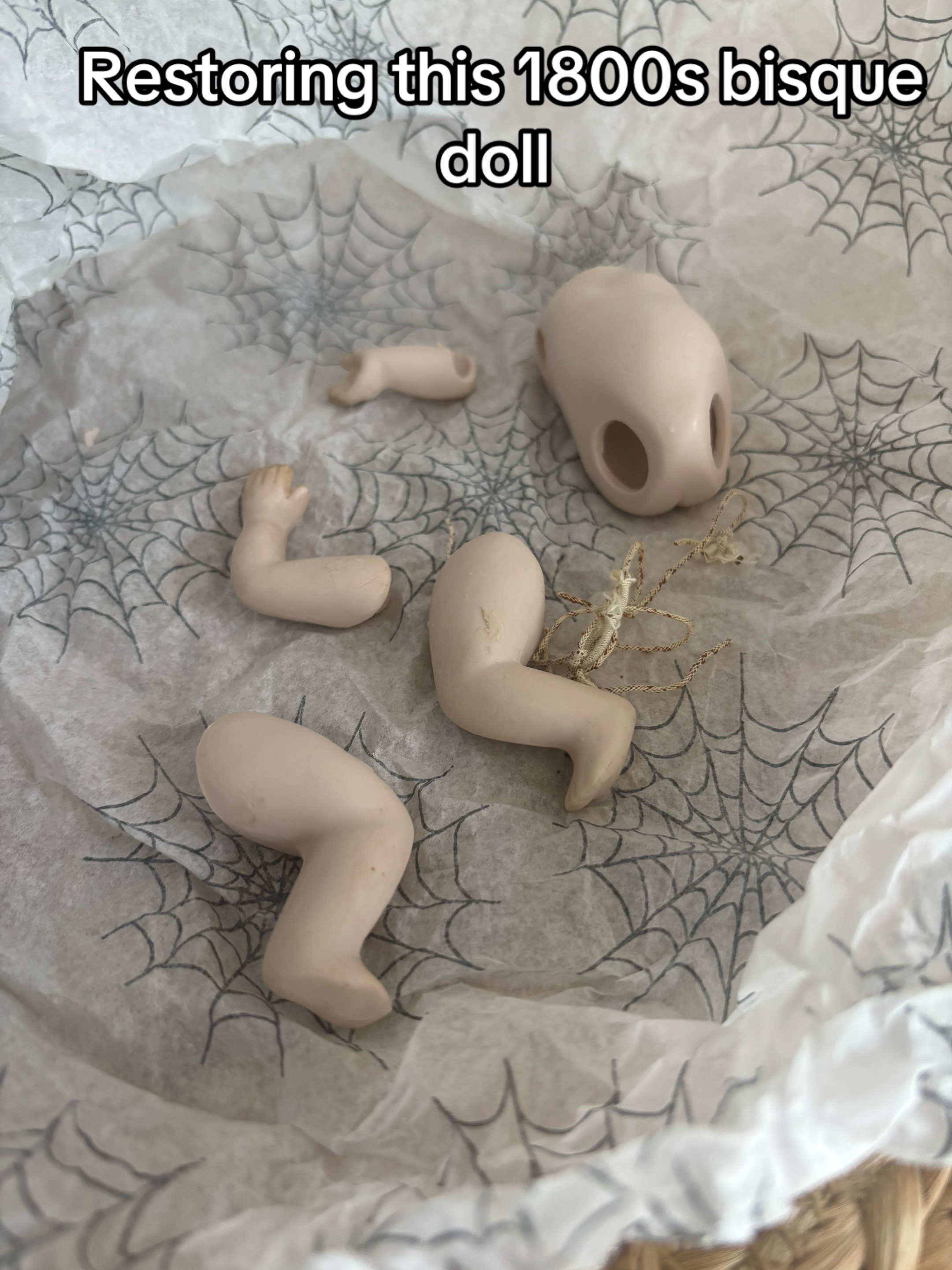 @🦇 𝔄𝔳𝔢 🩸