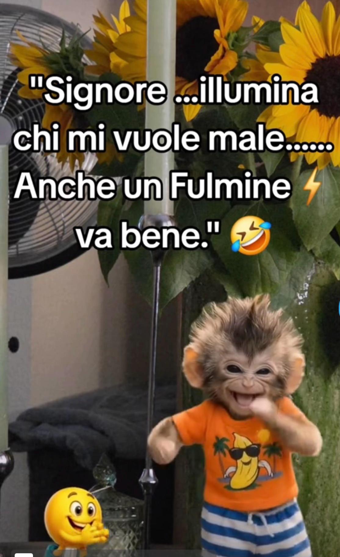 @๐๐ ๐Patrizia๐ง๐ปโ๏ธ๐ซถ๐ซฐ๐ผ