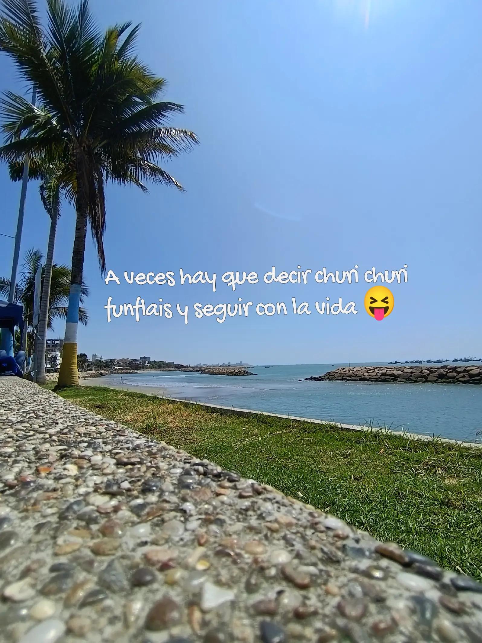 @💫Andromeda🌻🌻🌻