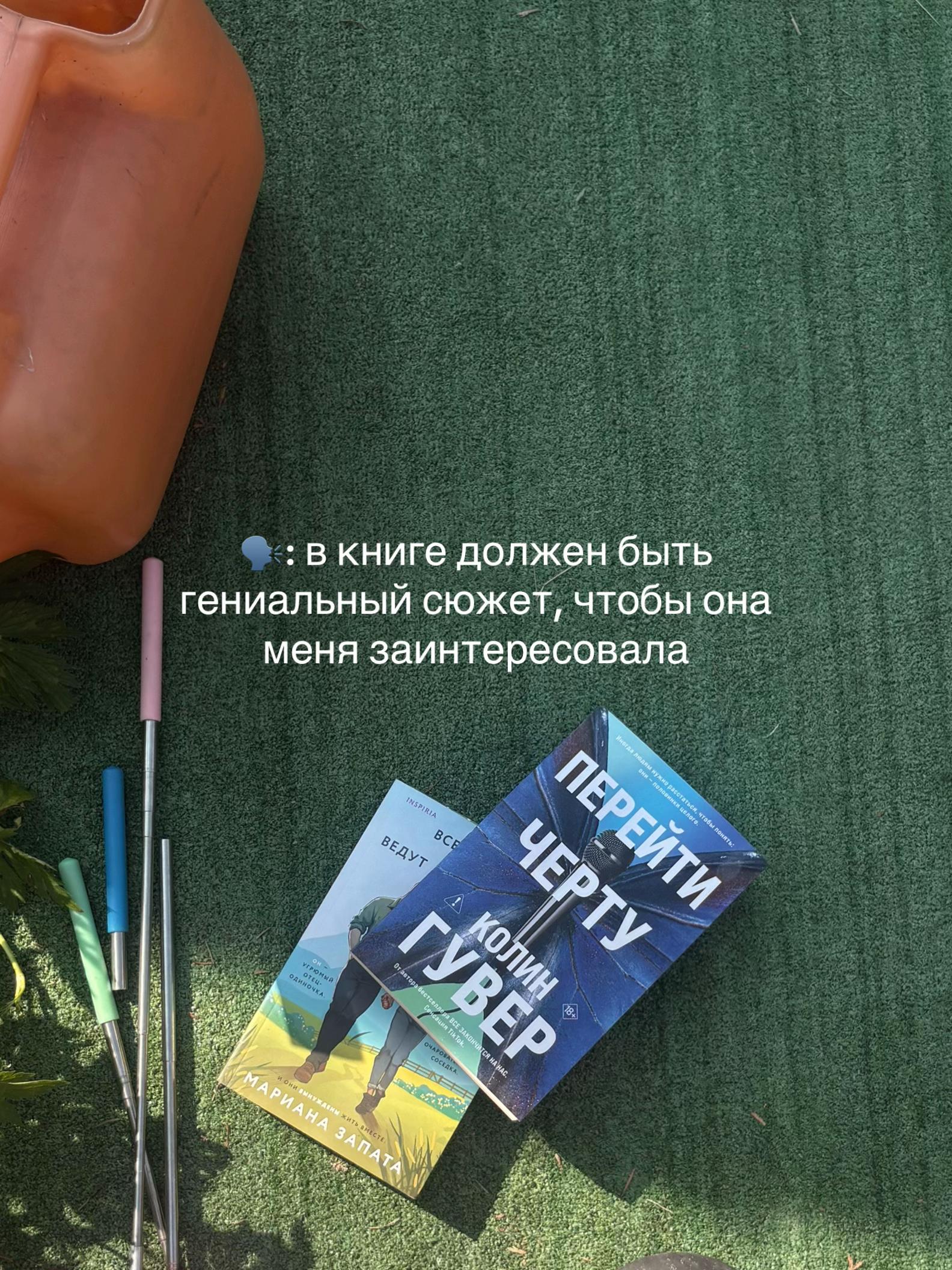 @༘⋆ the pixie diaries ྀི