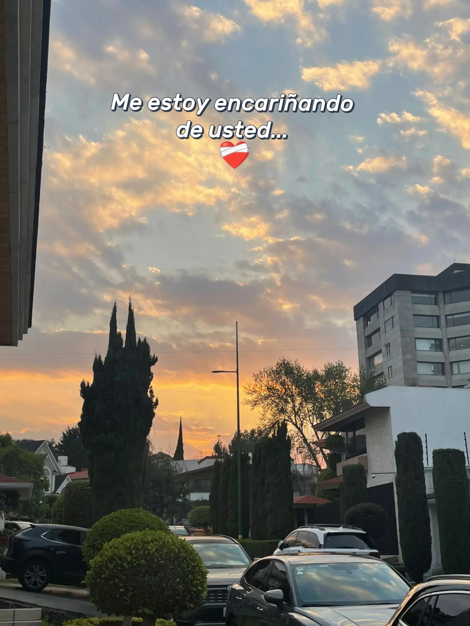 @Bouchan25🔥🖤