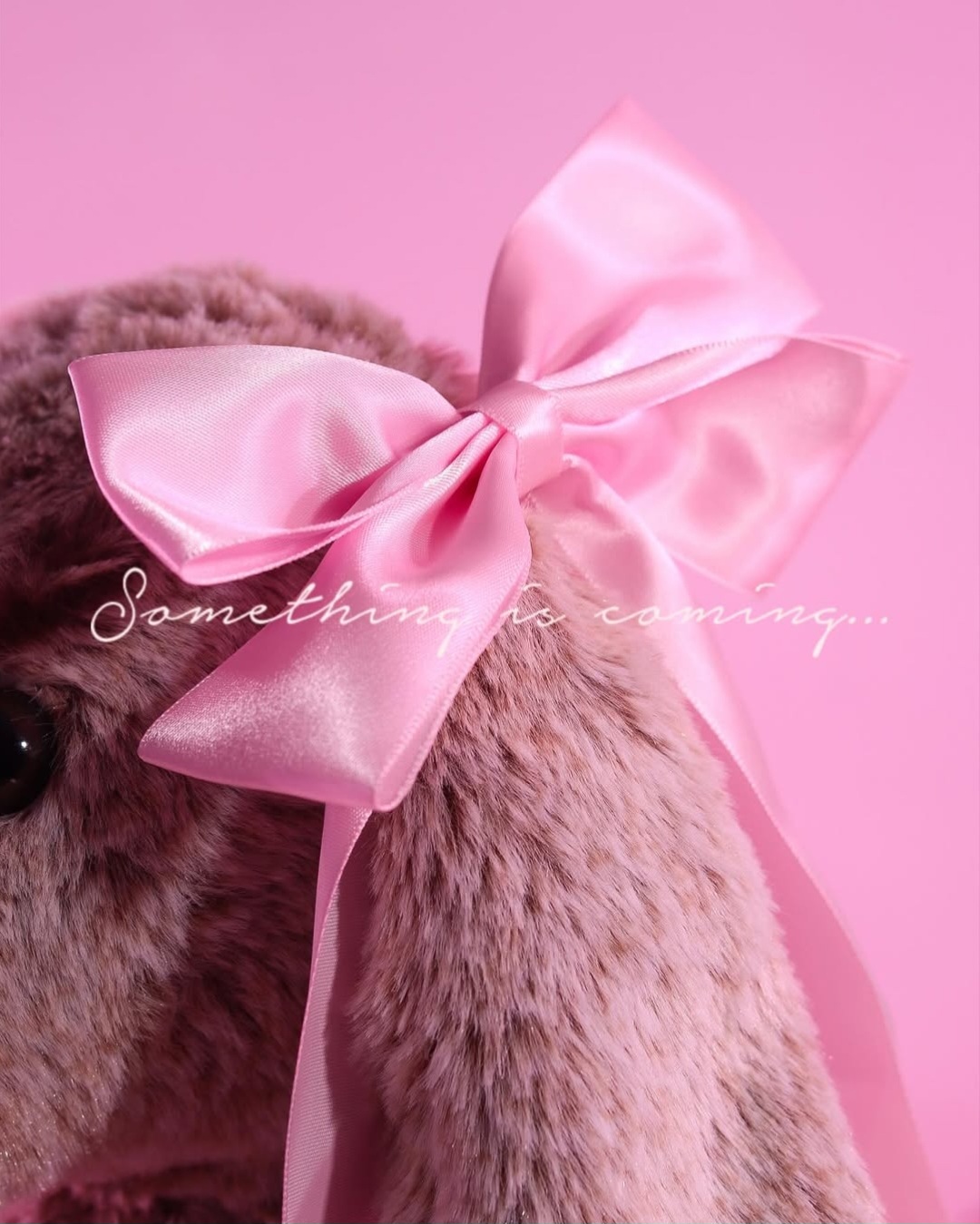 @Blend Bunny Cosmetics