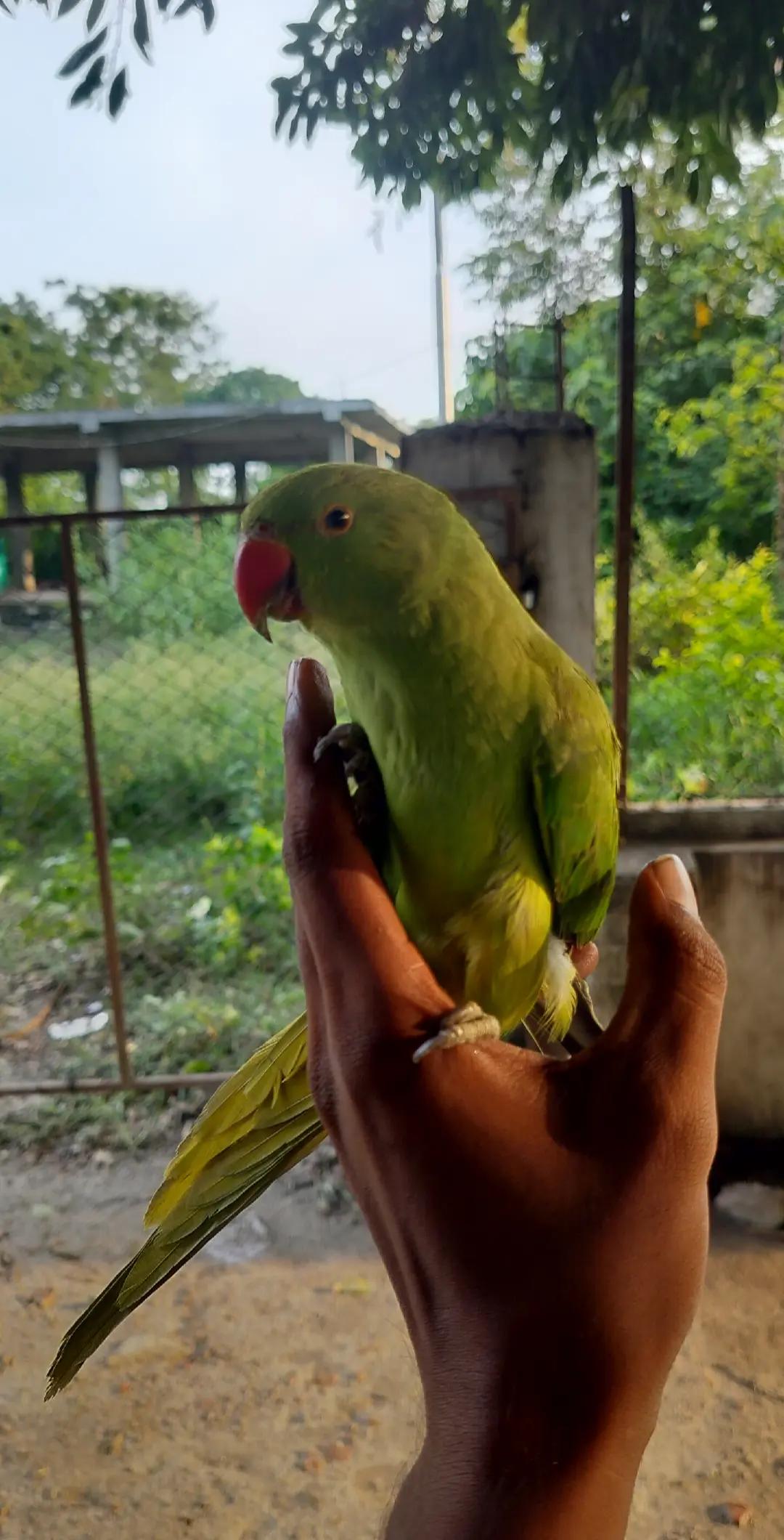 @बदमाश अहिर 🦋🦋
