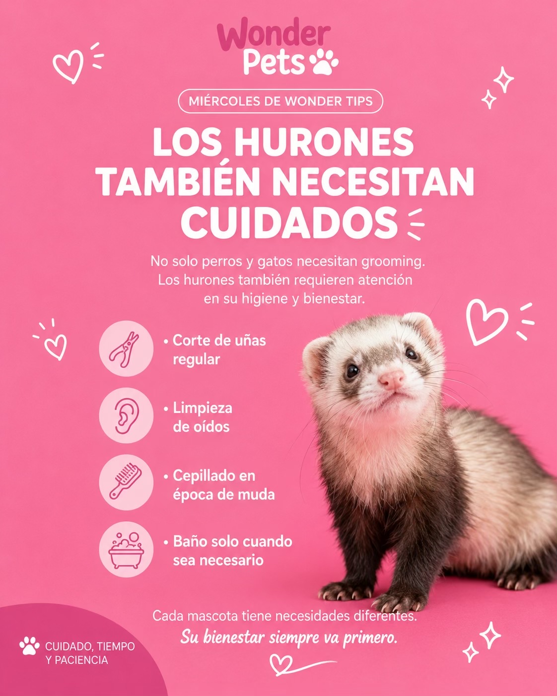 @wonderpetsgrooming