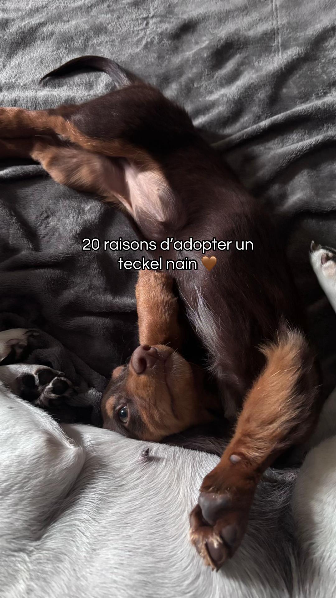 @nala