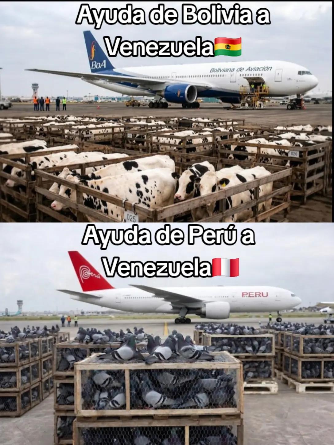 @𝗦𝗢𝗟𝗢 𝗙𝗔𝗖𝗧𝗢𝗦