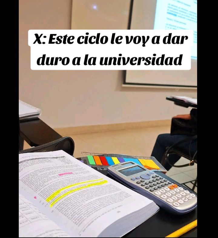 @mileny castillo