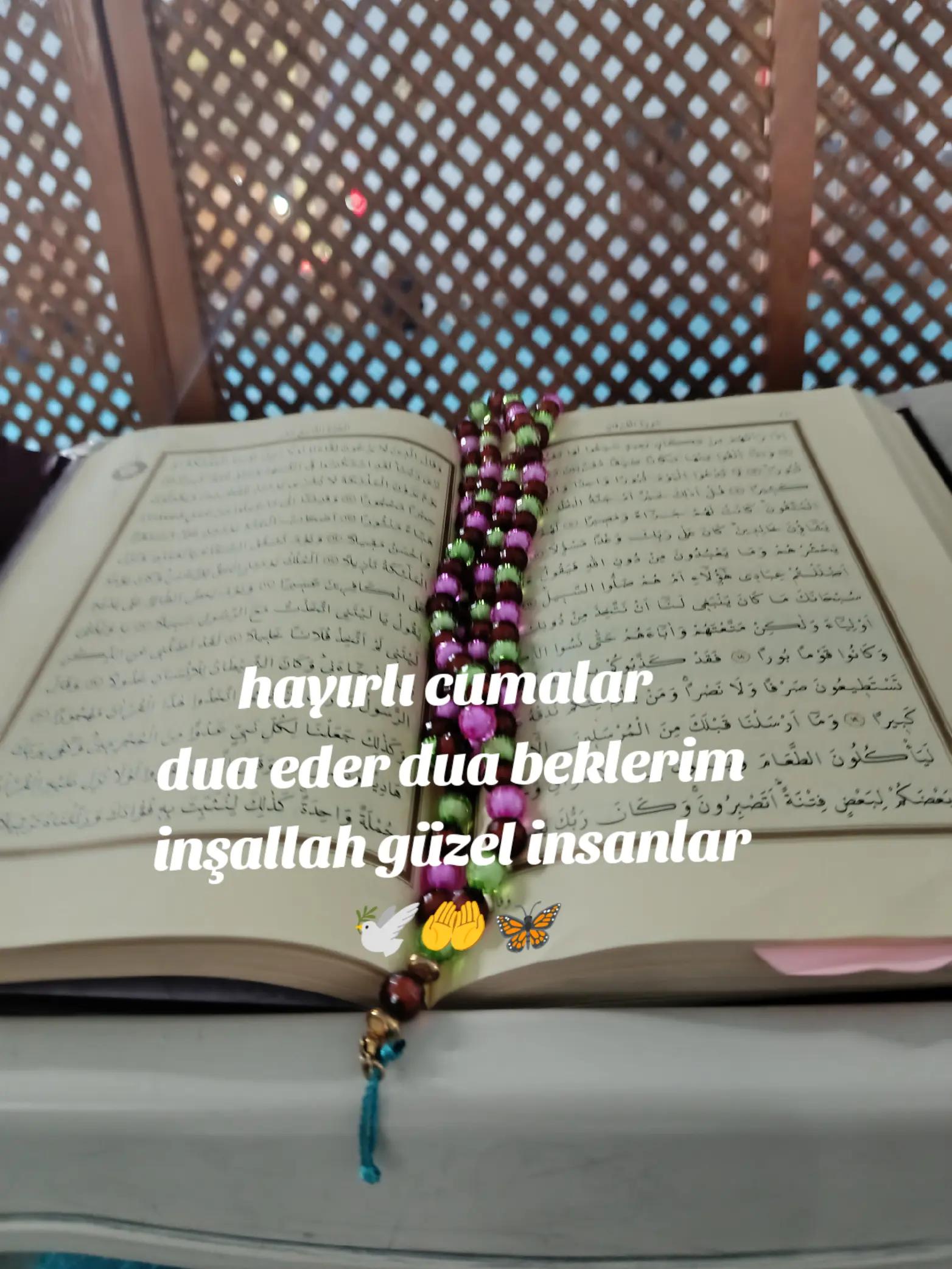 @Zeyno günn